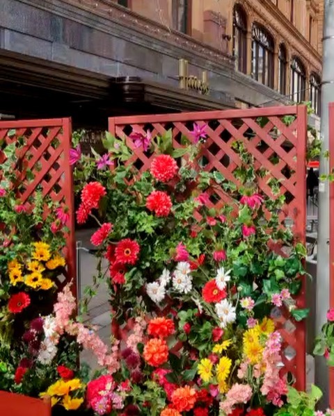 Flavio Briatore Oggi finalmente si apre  nella splendida location a Knightsbridge di fronte ad  ...