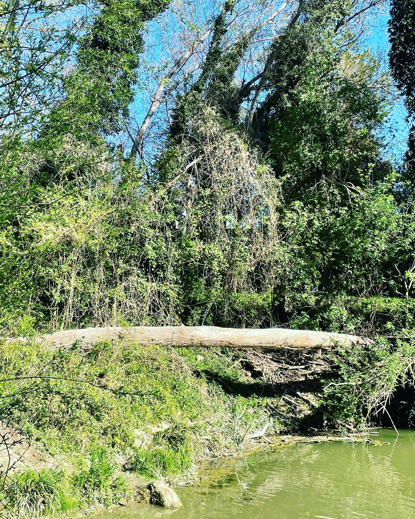 Martina Colombari E in attesa che riaprano i teatri .... “La natura può allestire spettacoli strao...