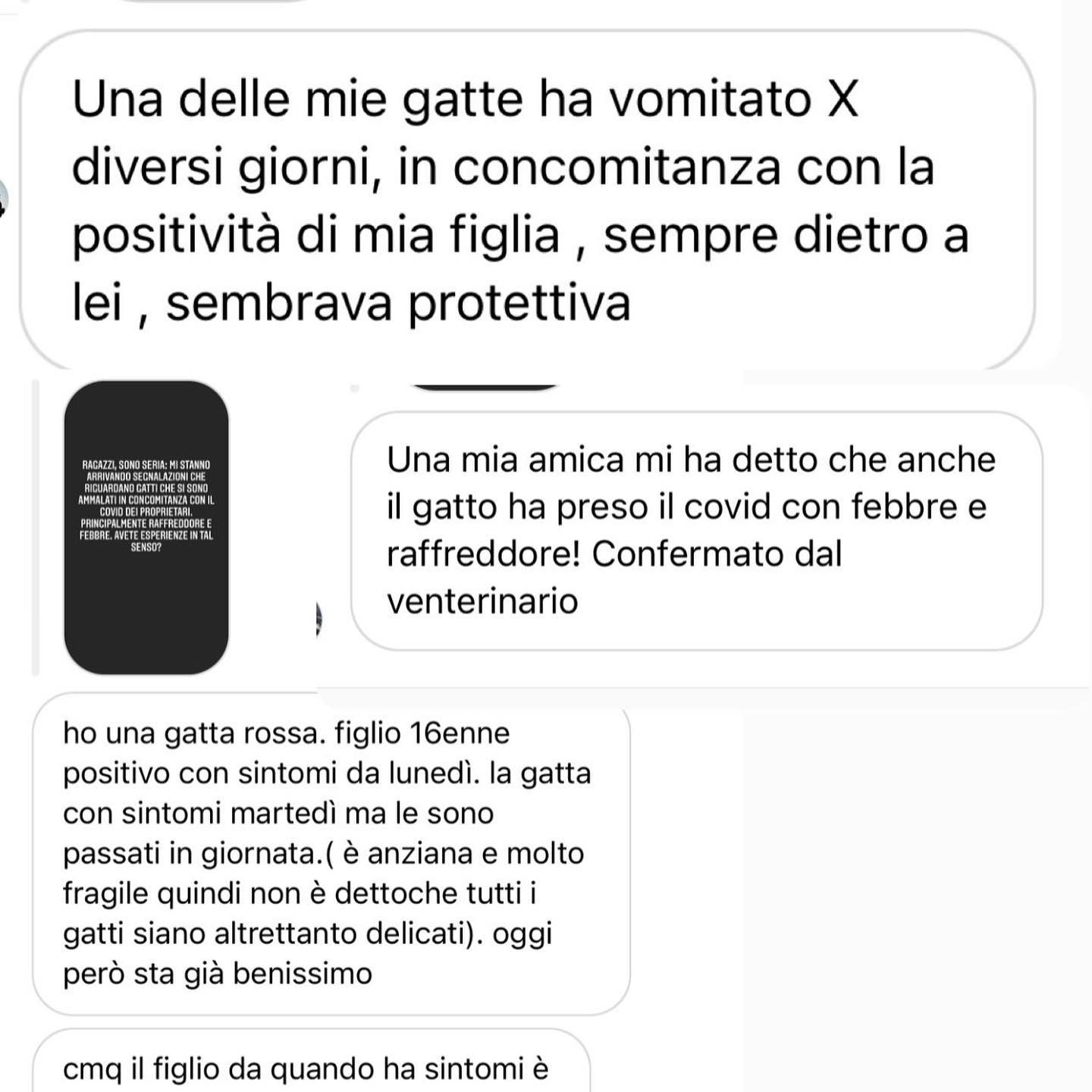 Selvaggia Lucarelli Molti studi hanno confermato la possibilità dei gatti di prendere il Covid (e al...