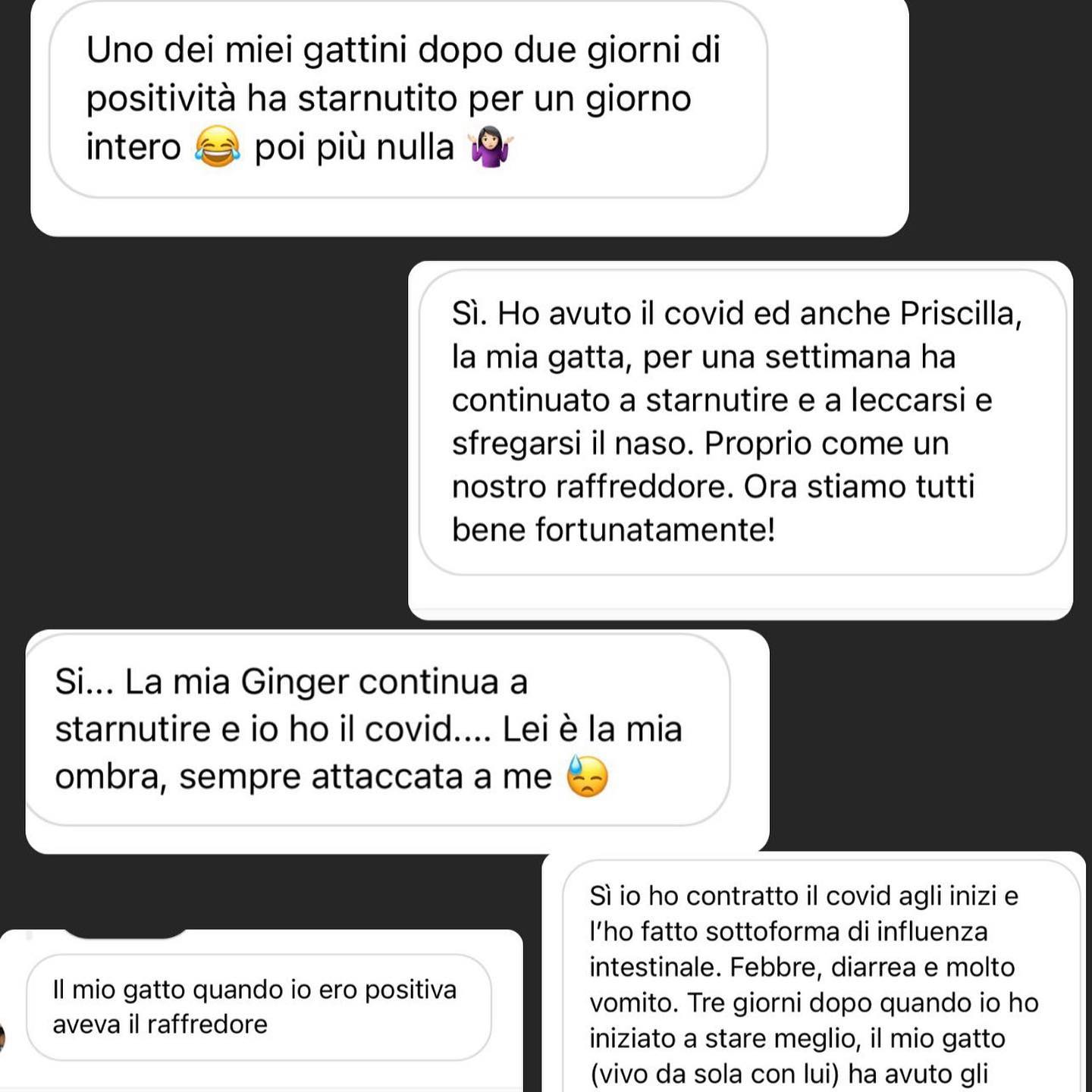 Selvaggia Lucarelli Molti studi hanno confermato la possibilità dei gatti di prendere il Covid (e al...