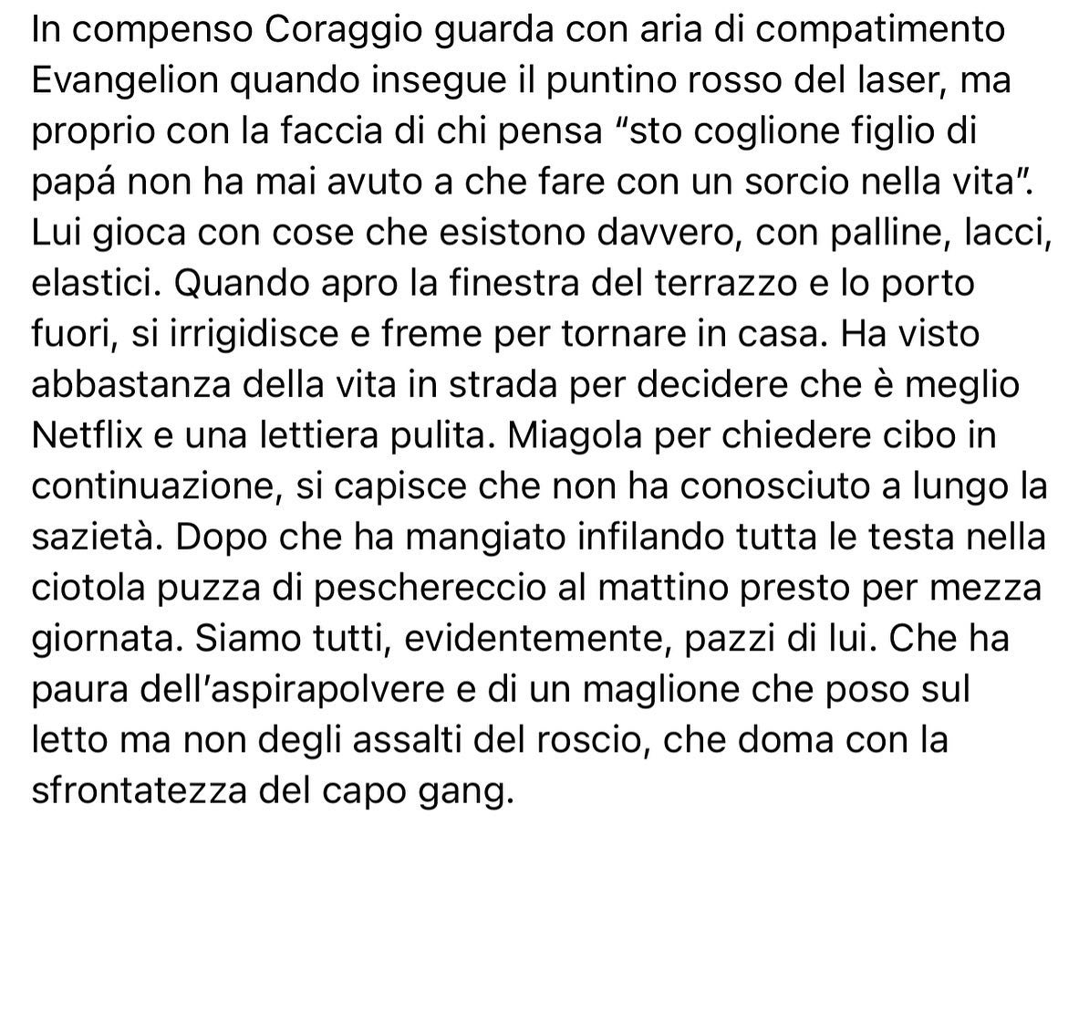 Selvaggia Lucarelli Cosa è successo dopo l’arrivo del gattino Coraggio qui dalle nostre parti. (GALL...