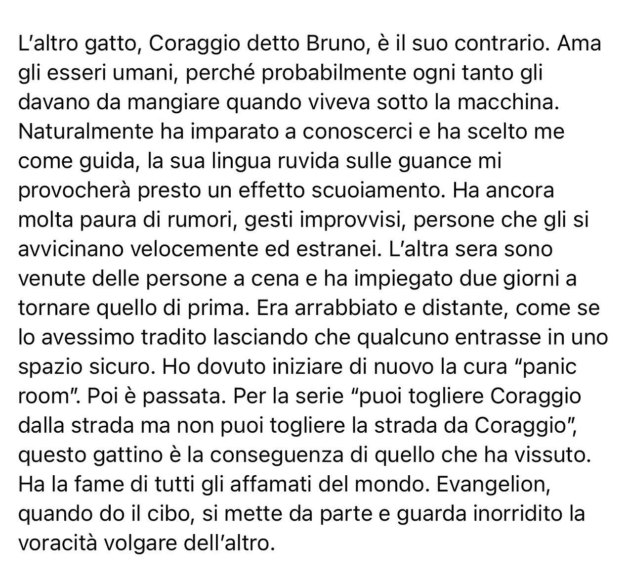 Selvaggia Lucarelli Cosa è successo dopo l’arrivo del gattino Coraggio qui dalle nostre parti. (GALL...