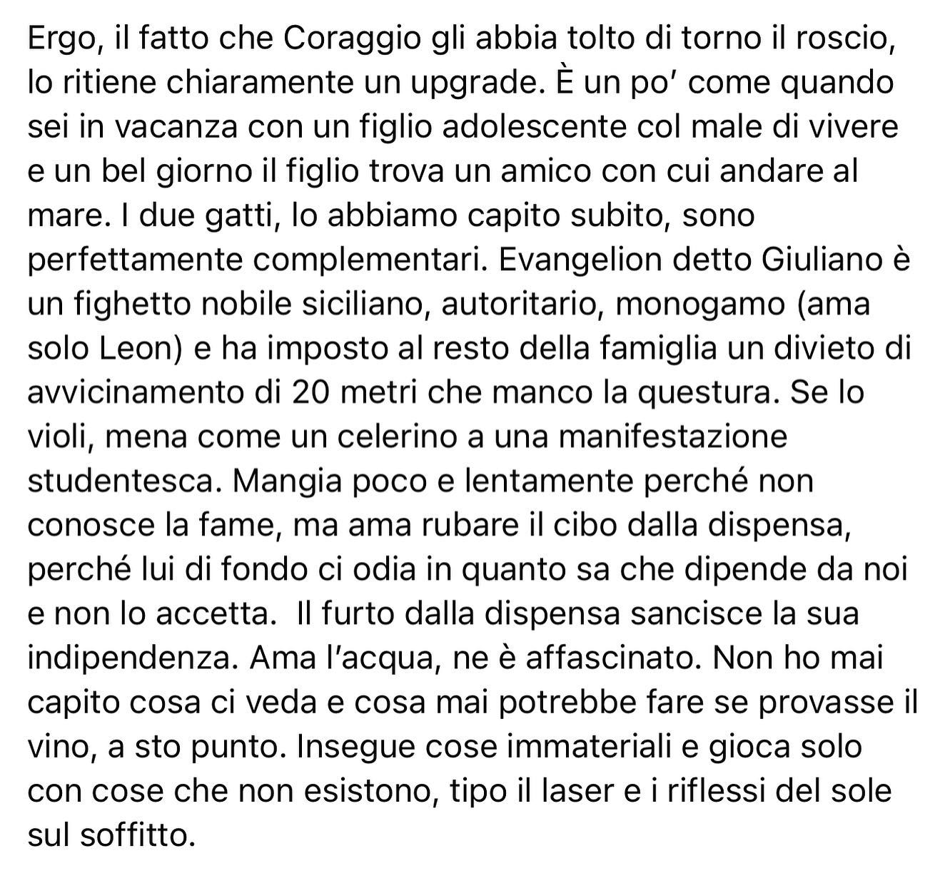 Selvaggia Lucarelli Cosa è successo dopo l’arrivo del gattino Coraggio qui dalle nostre parti. (GALL...