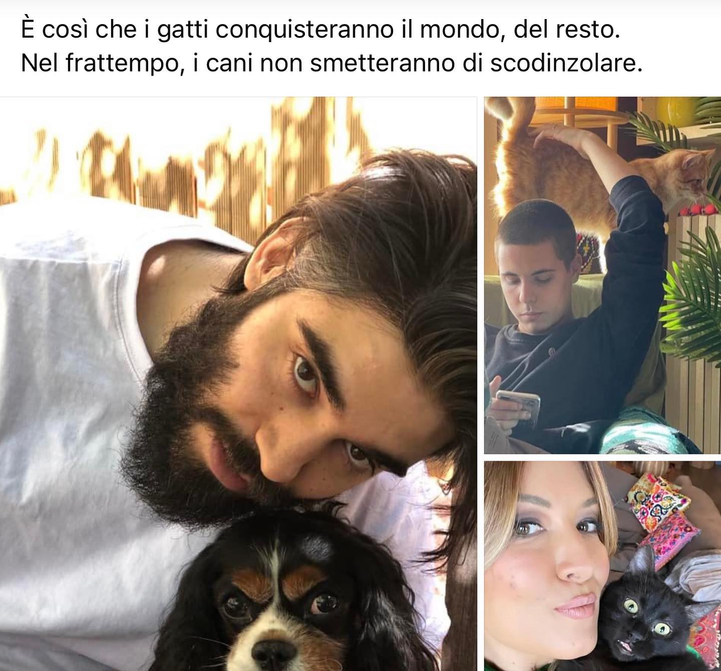 Selvaggia Lucarelli Cosa è successo dopo l’arrivo del gattino Coraggio qui dalle nostre parti. (GALL...