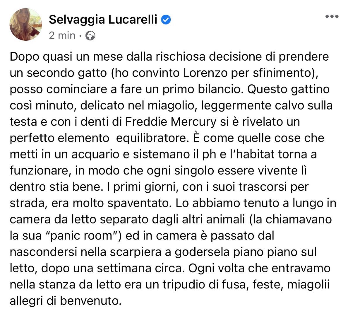 Selvaggia Lucarelli Cosa è successo dopo l’arrivo del gattino Coraggio qui dalle nostre parti. (GALL...