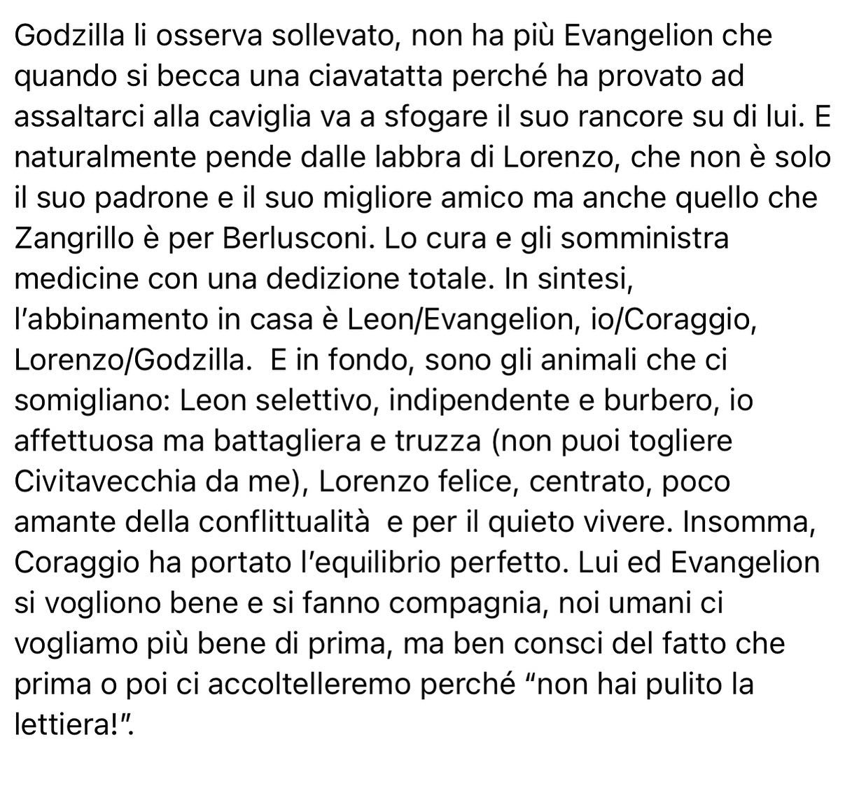 Selvaggia Lucarelli Cosa è successo dopo l’arrivo del gattino Coraggio qui dalle nostre parti. (GALL...