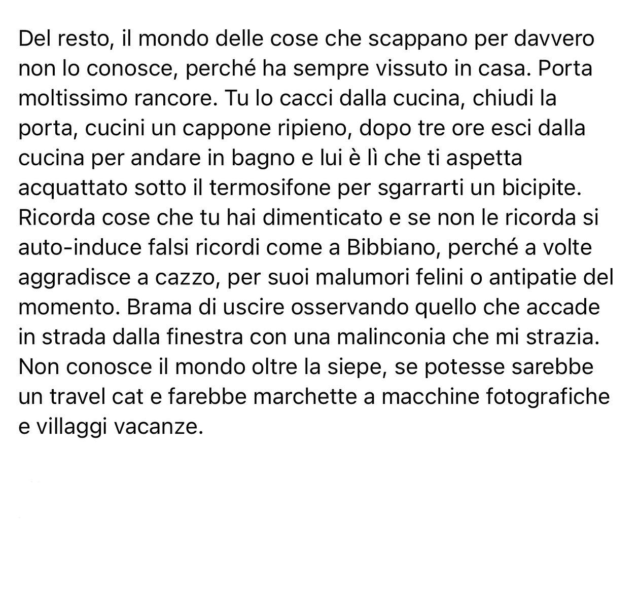 Selvaggia Lucarelli Cosa è successo dopo l’arrivo del gattino Coraggio qui dalle nostre parti. (GALL...