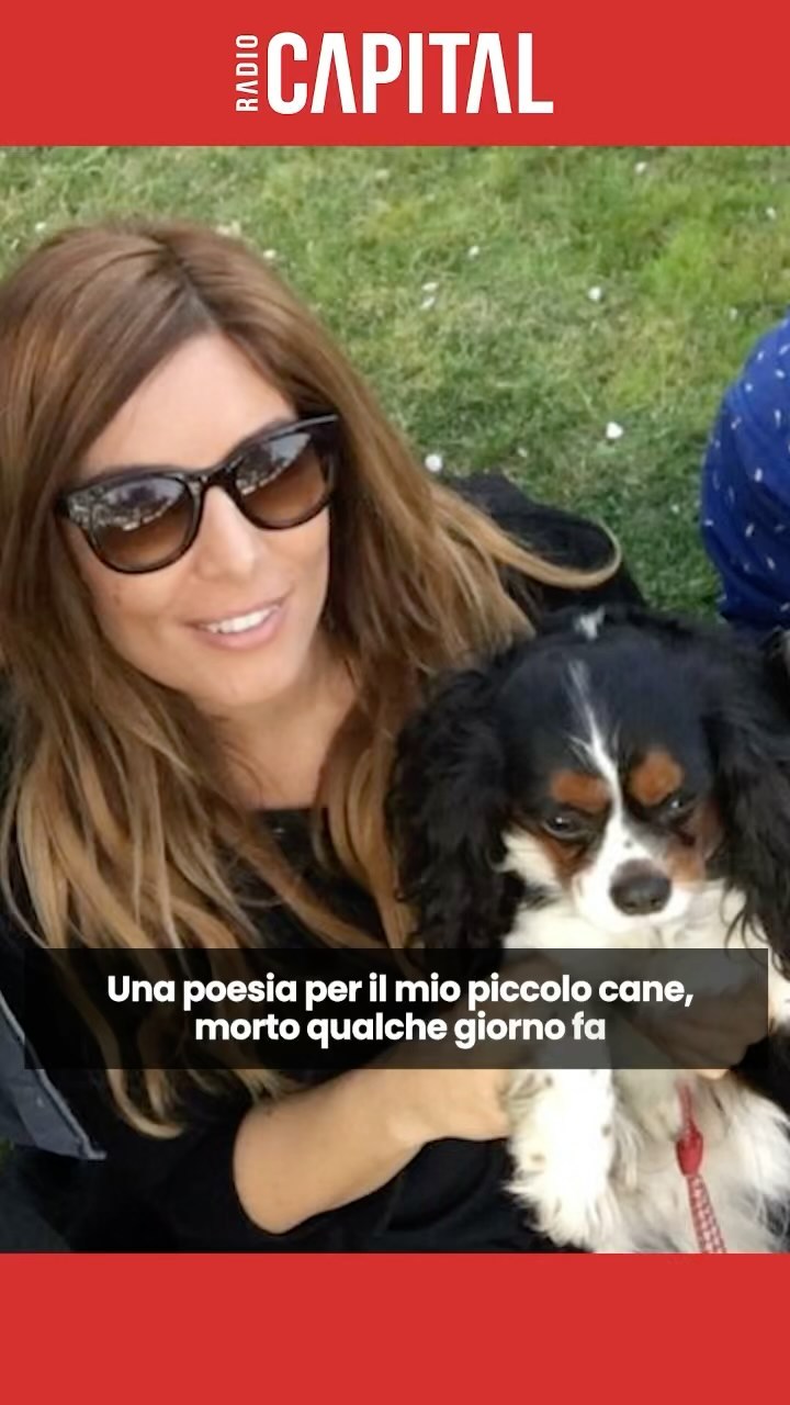 Selvaggia Lucarelli Selvaggia Lucarelli, la dedica in onda al piccolo Godzilla: “Voglio chiudere que...