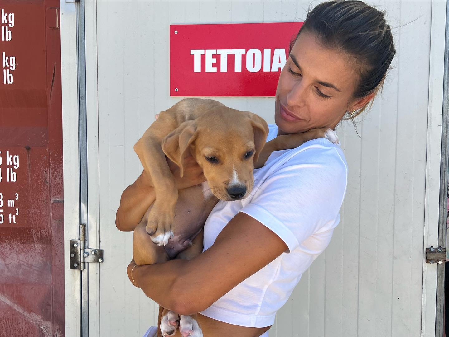 Elisabetta Canalis Ieri sono stata a fare visita al canile di Olbia  
Non posso descrivere le emozi...