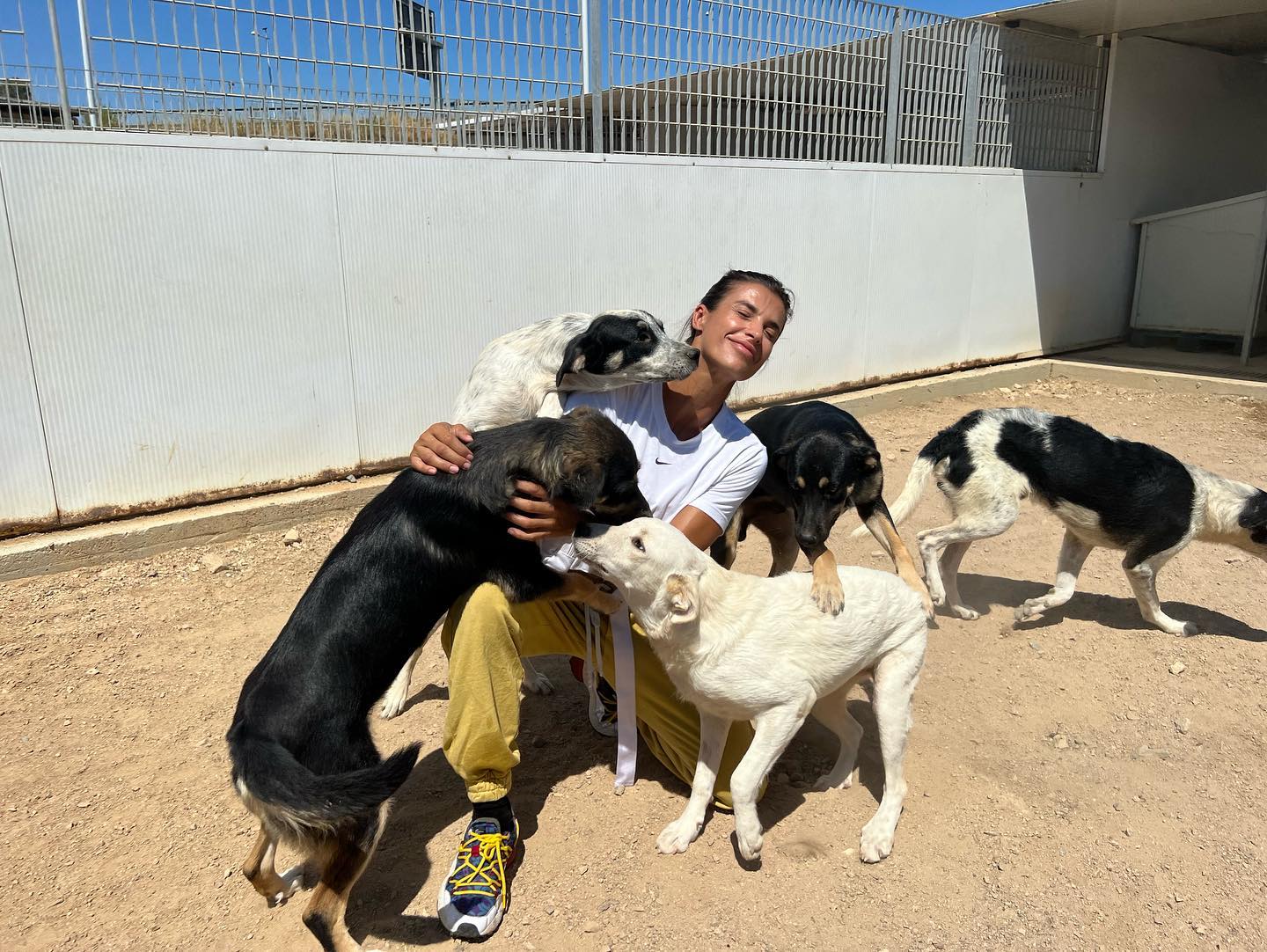 Elisabetta Canalis Ieri sono stata a fare visita al canile di Olbia  
Non posso descrivere le emozi...