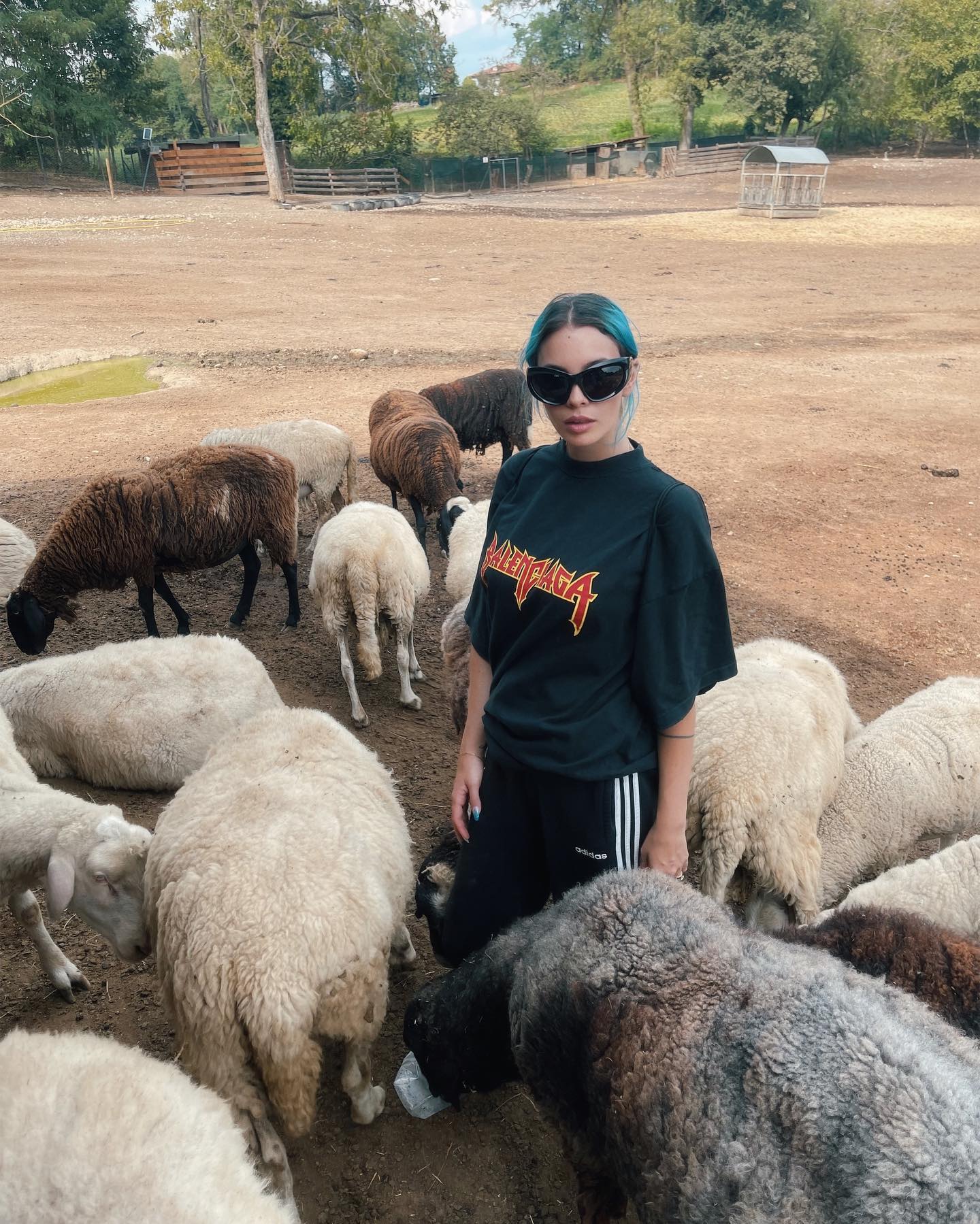 Rose Villan Ho passato un pomeriggio speciale a conoscere questi animali in un santuario vic...