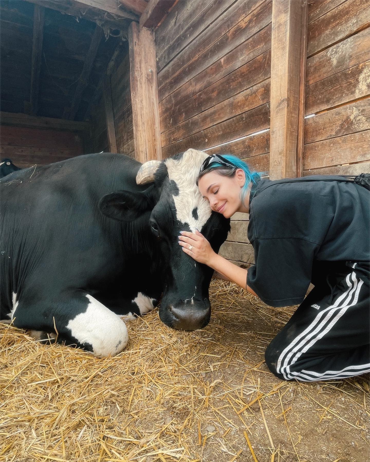 Rose Villan Ho passato un pomeriggio speciale a conoscere questi animali in un santuario vic...