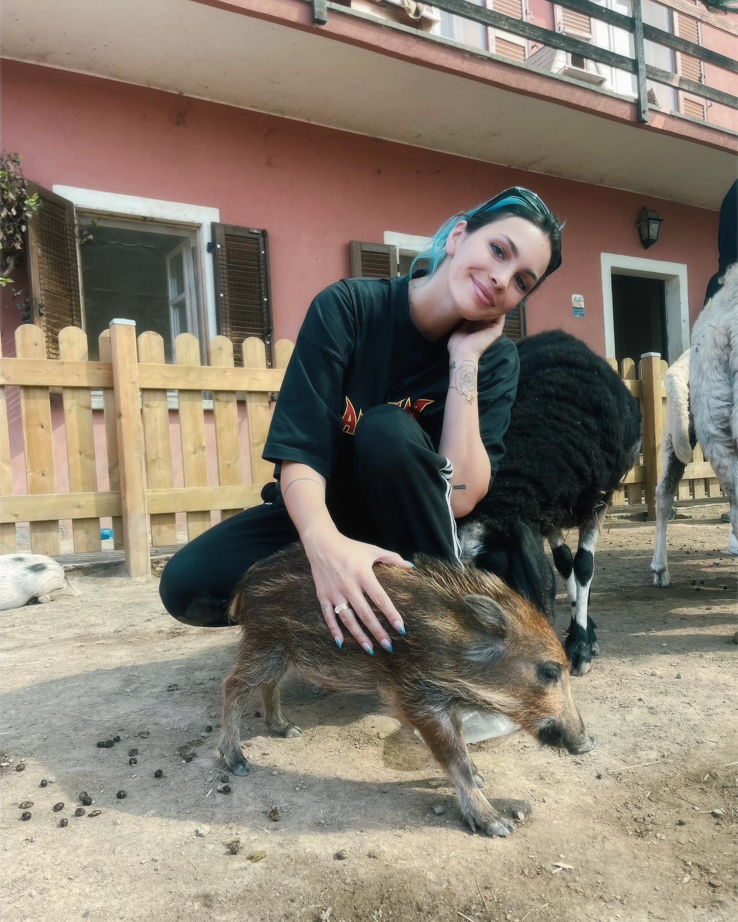 Rose Villan Ho passato un pomeriggio speciale a conoscere questi animali in un santuario vic...