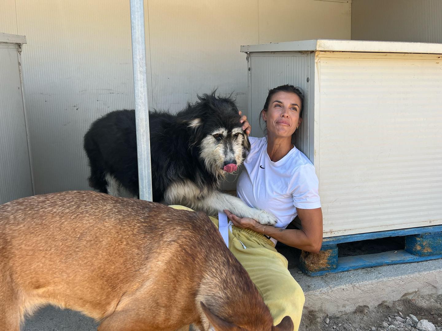 Elisabetta Canalis Ieri sono stata a fare visita al canile di Olbia  
Non posso descrivere le emozi...