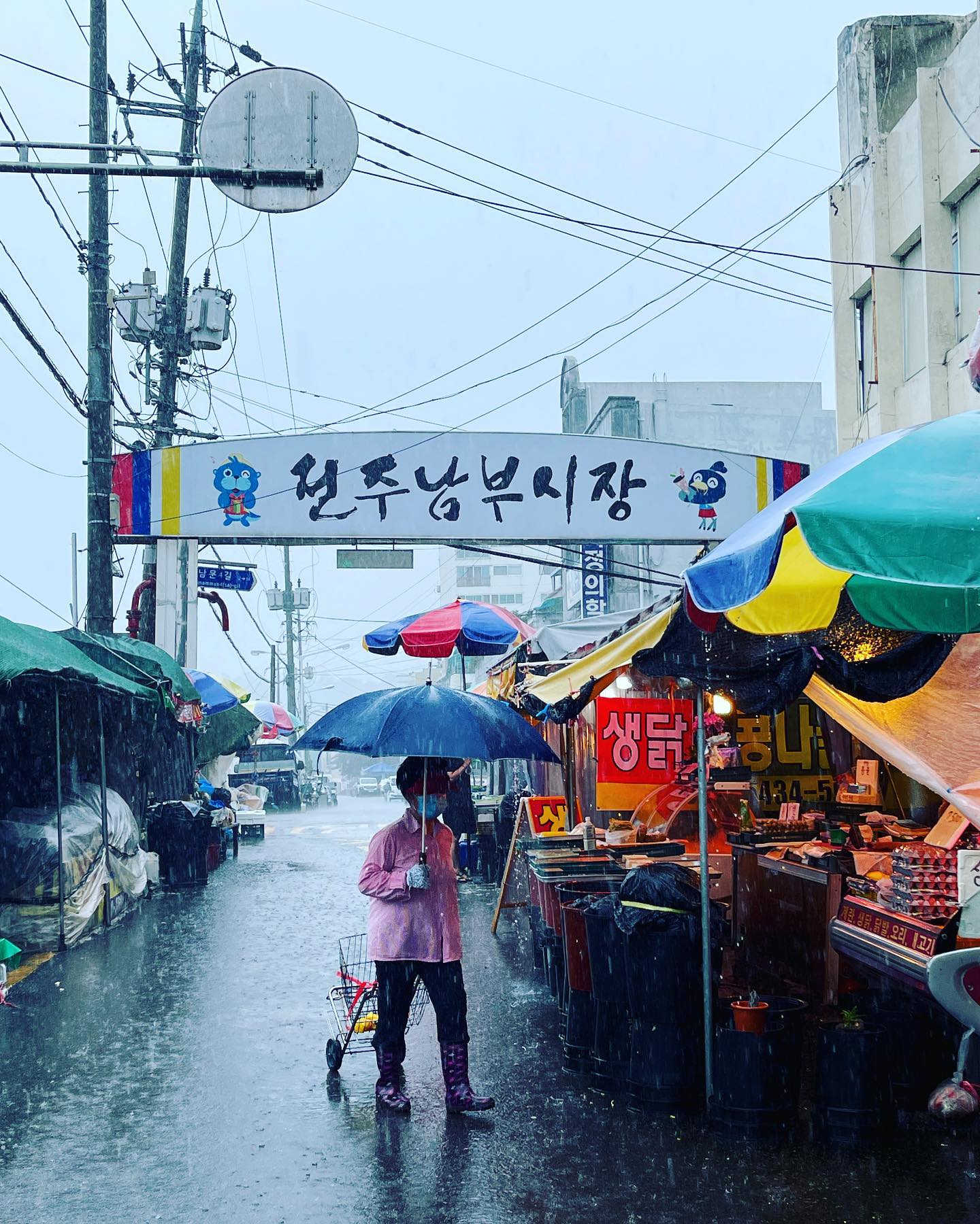 Selvaggia Lucarelli Il monsone non accenna a concedere tregue e anche e Jeonju, nel sud-ovest del pa...