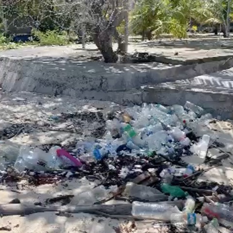 Selvaggia Lucarelli Sapete da dove vengono queste immagini? Da un’isola che si chiama Pom Pom, nel B...