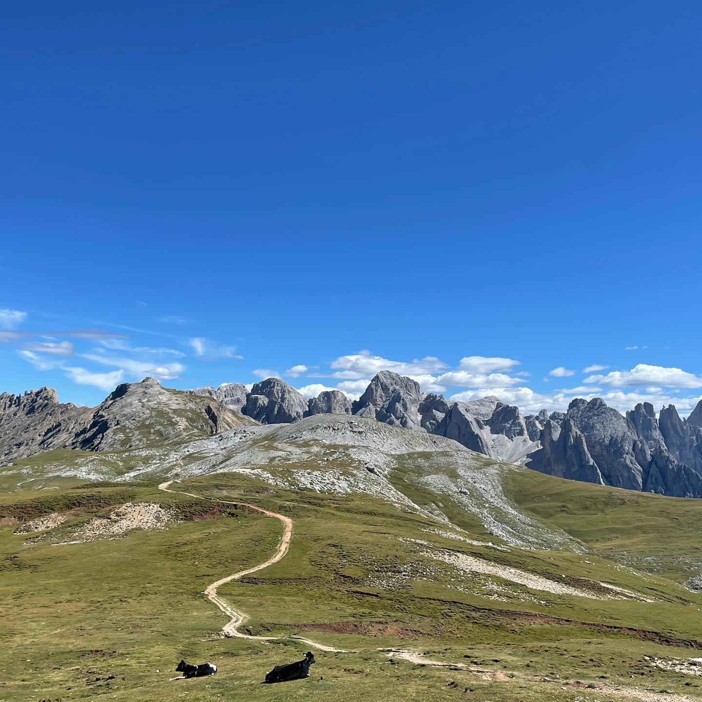 Martina Colombari Delle montagne mi piace l'assoluta semplicità. Quando sei in camminata, in scala...