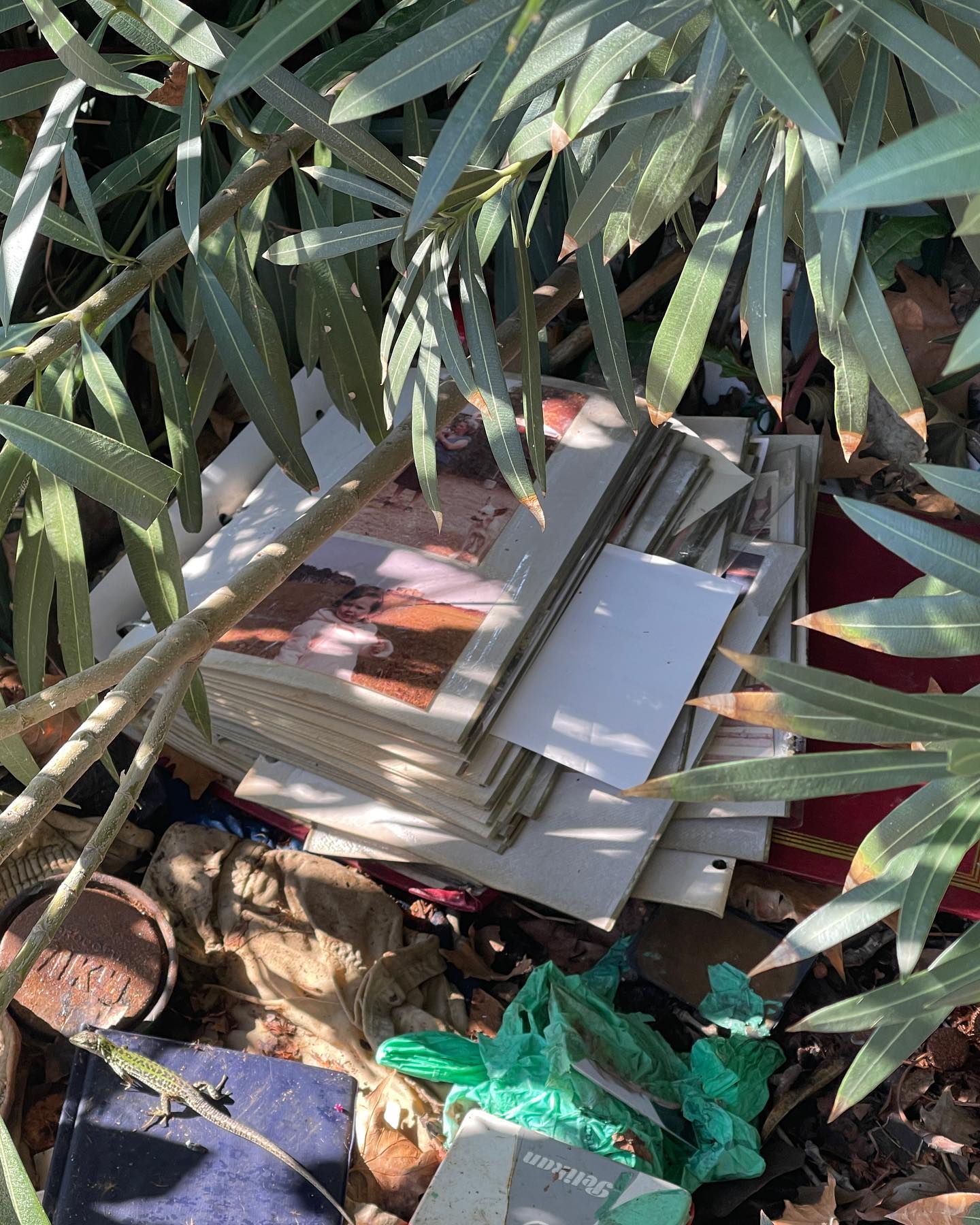 Selvaggia Lucarelli Mentre camminavo sul Lungotevere ho notato un vecchio album di fotografie in un ...