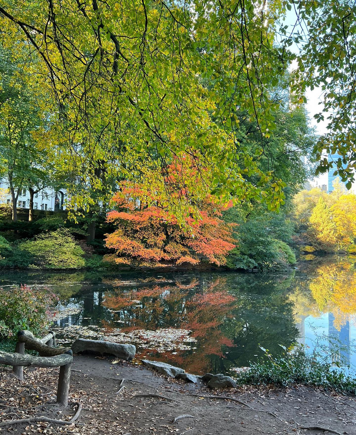 Elisabetta Gregoraci • Autumn in New York...