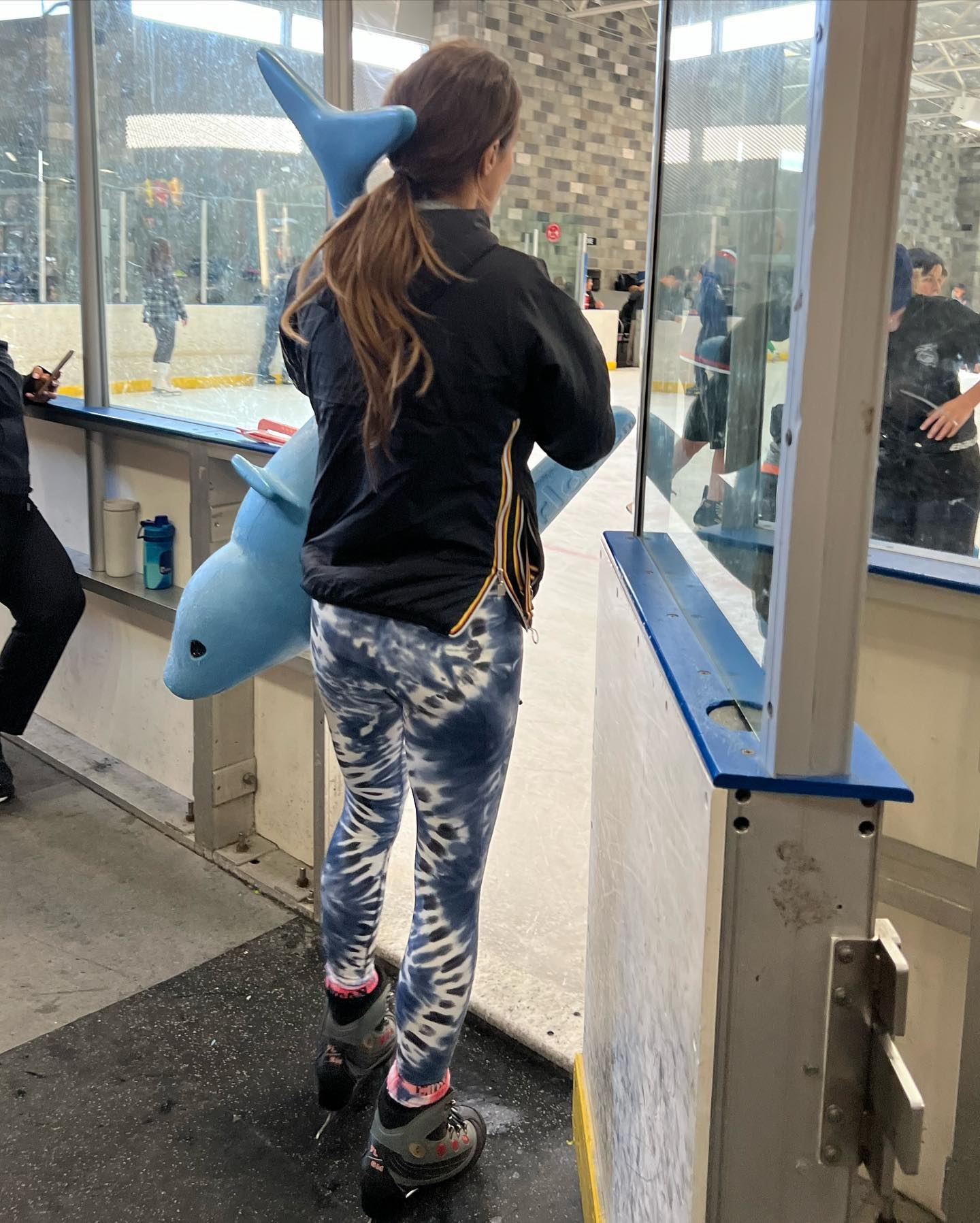 Elisabetta Canalis Ice skating day...