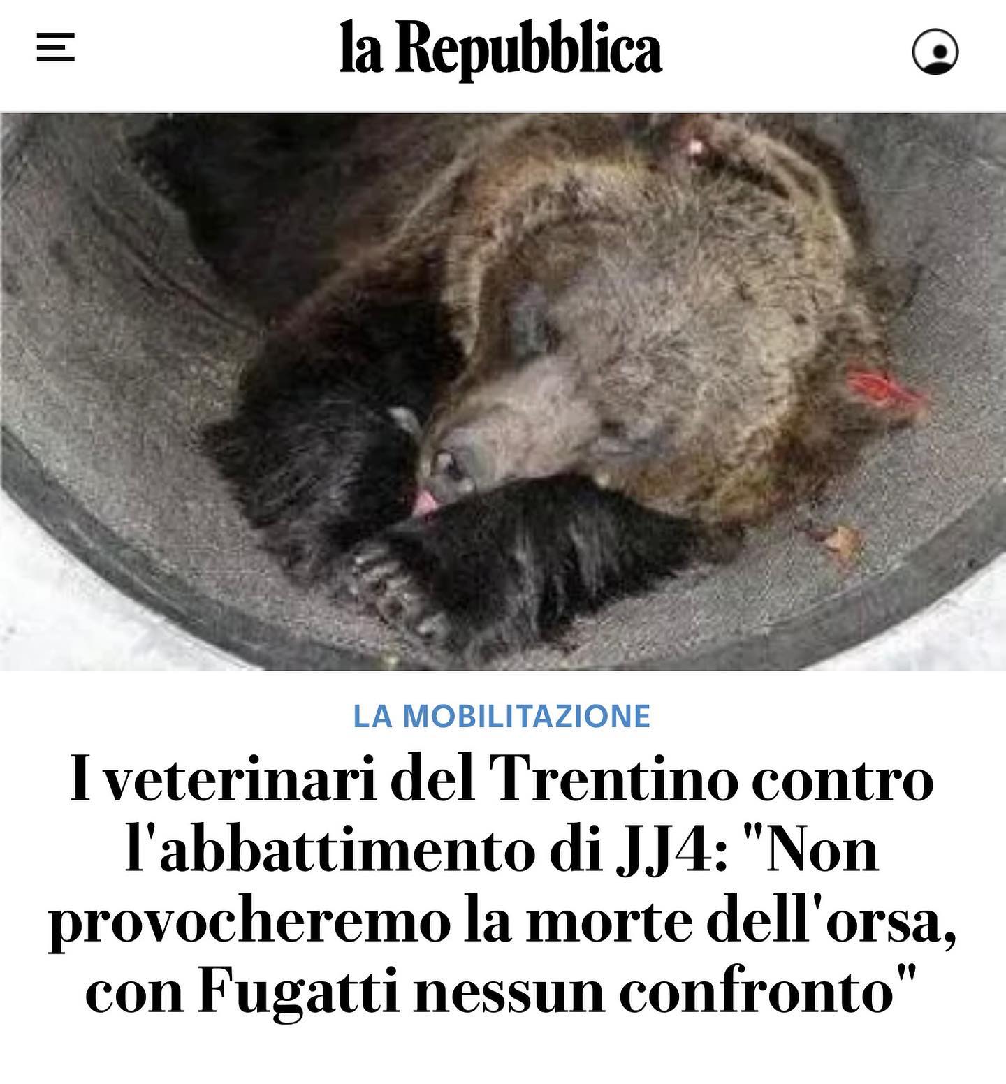 Selvaggia Lucarelli Mi commuovo tantissimo. Grazie all’ordine dei veterinari della provincia di Tren...