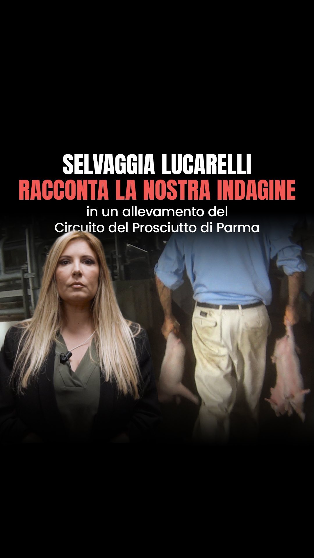 Selvaggia Lucarelli NUOVA INDAGINE di  raccontata da  

Nuova indagine sotto copertura di Essere Ani...