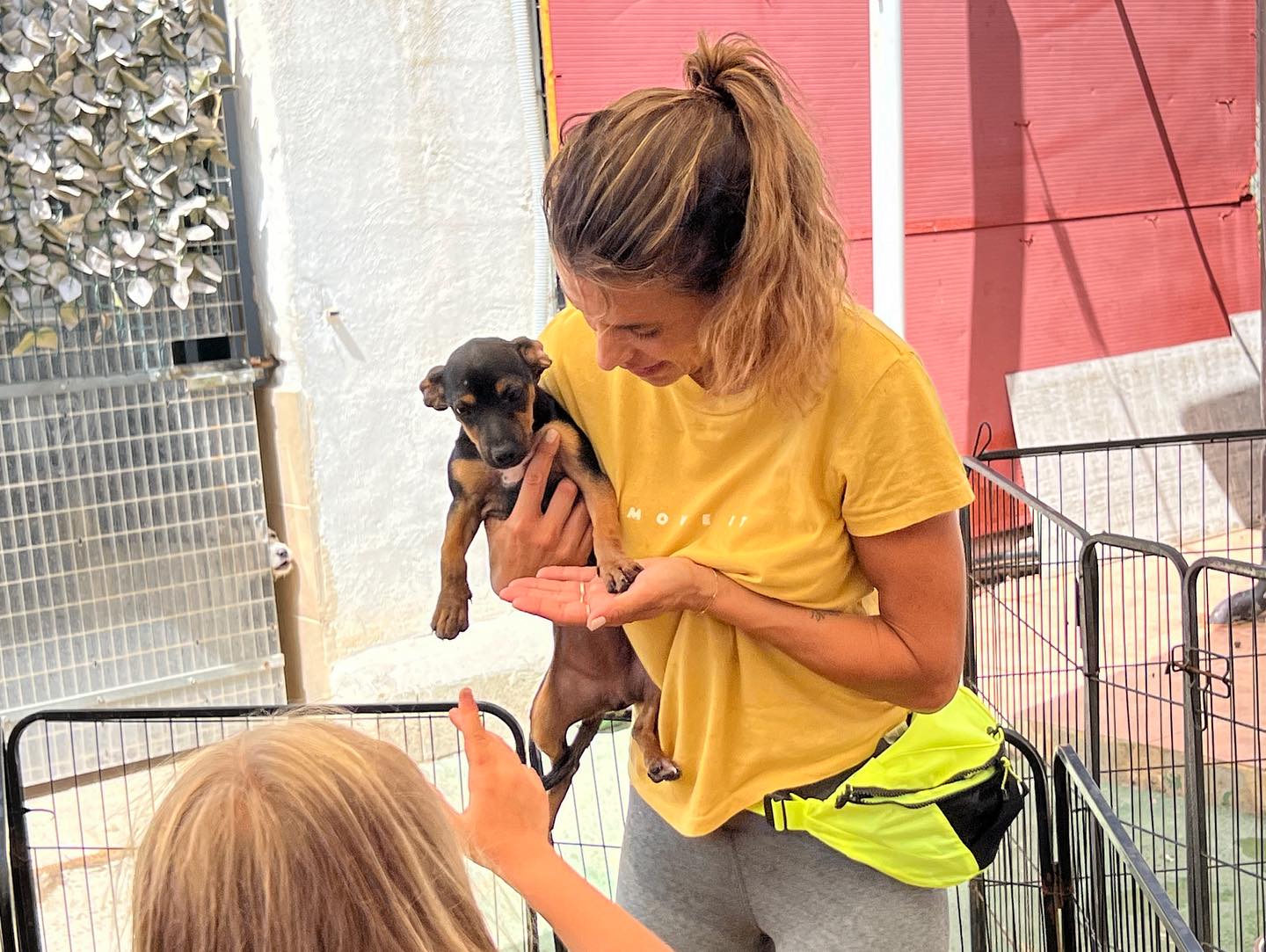 Elisabetta Canalis Io e Skyler siamo state al Rifugio fratelli minori, il canile di Olbia . Ho trov...