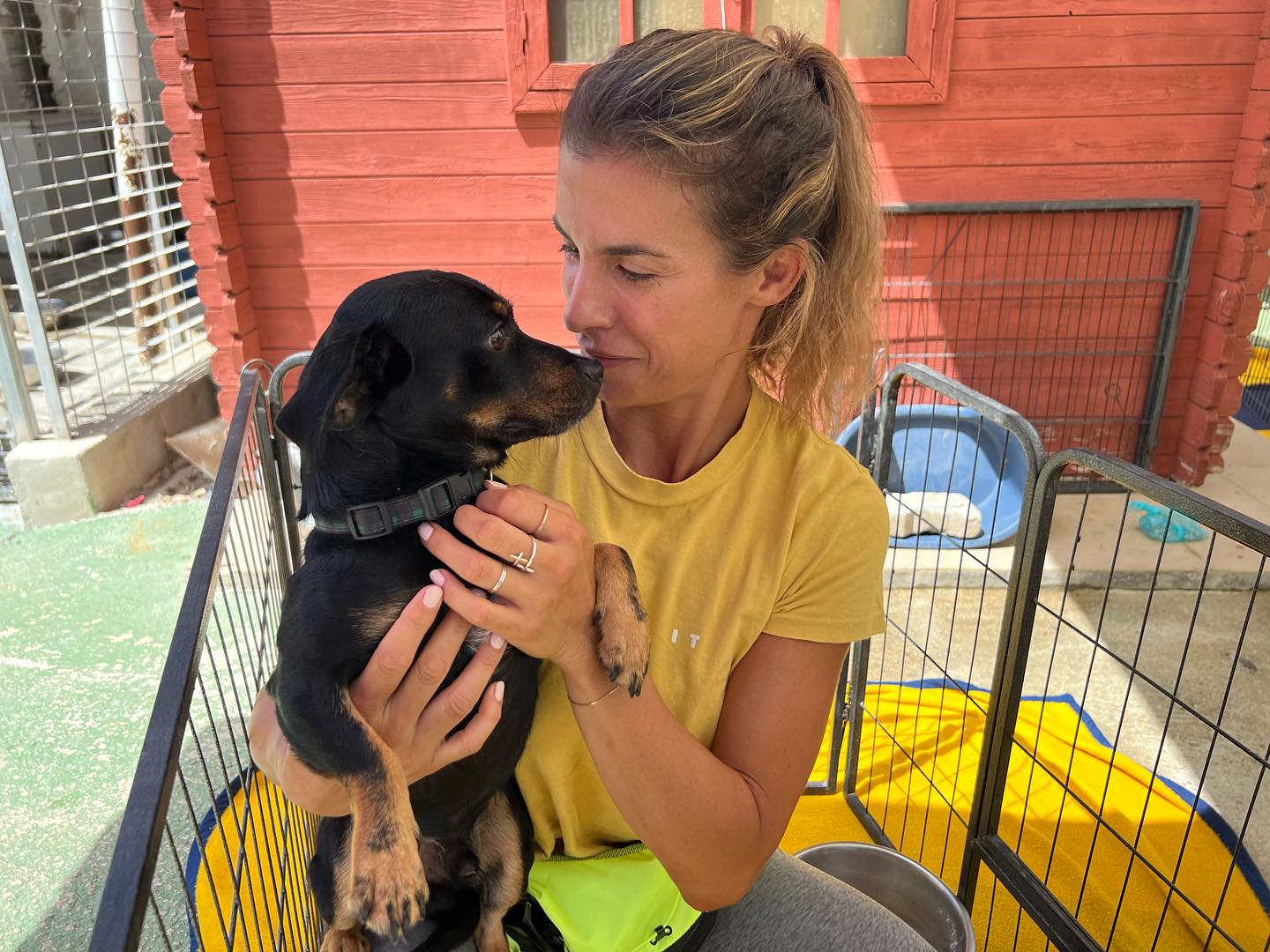 Elisabetta Canalis Io e Skyler siamo state al Rifugio fratelli minori, il canile di Olbia . Ho trov...