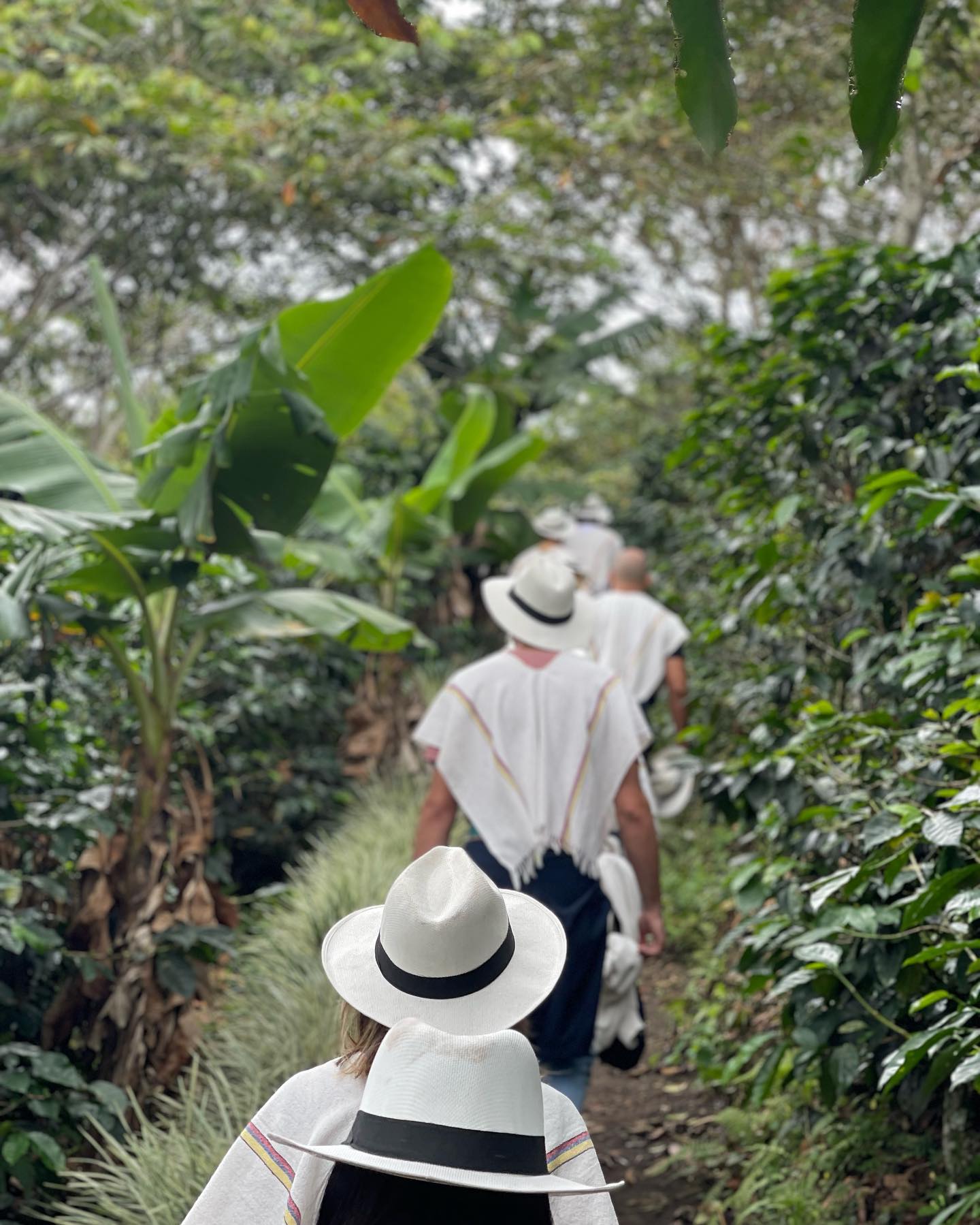 Selvaggia Lucarelli Visitare una piantagione di caffè in Colombia è un’esperienza istruttiva e diver...