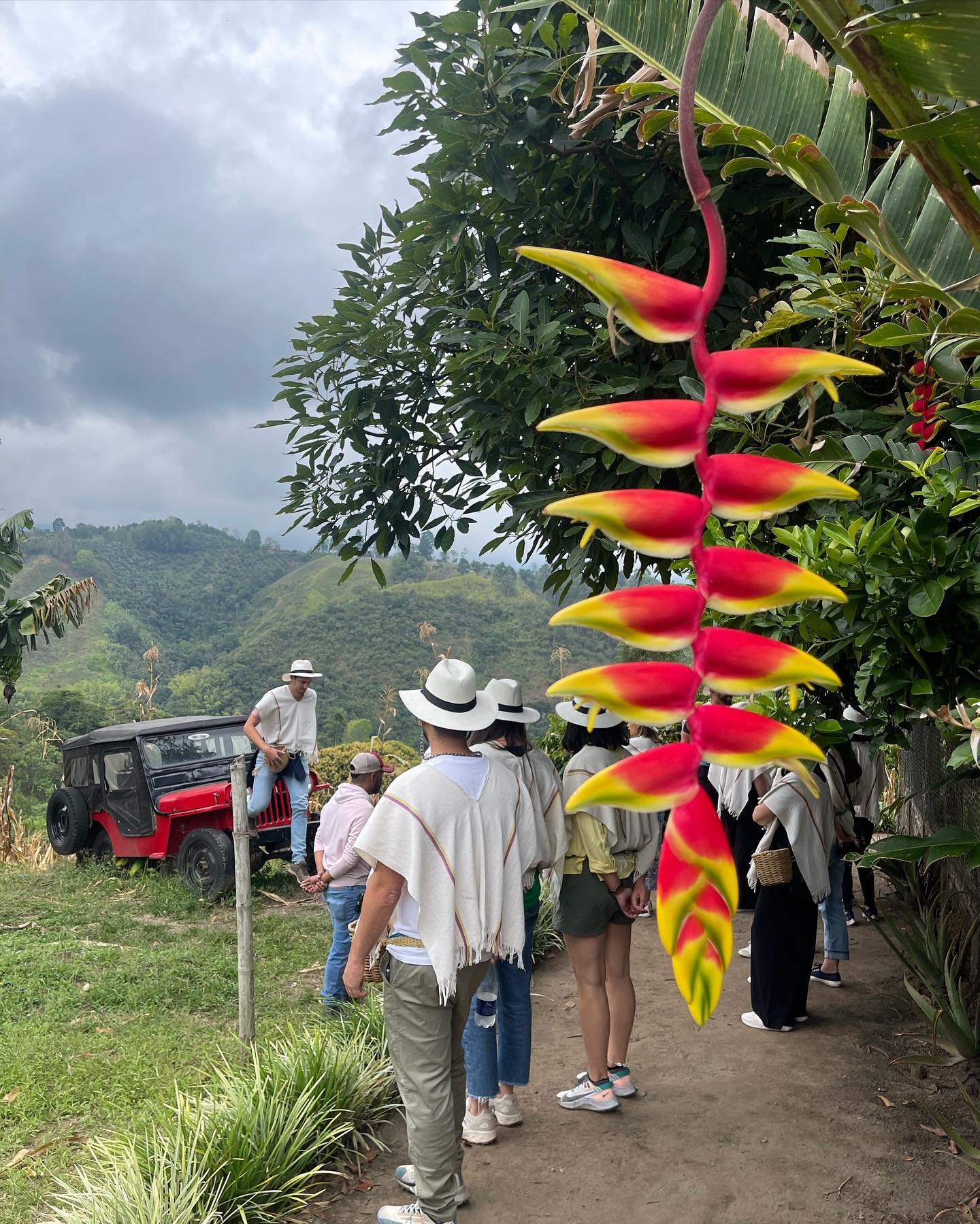 Selvaggia Lucarelli Visitare una piantagione di caffè in Colombia è un’esperienza istruttiva e diver...