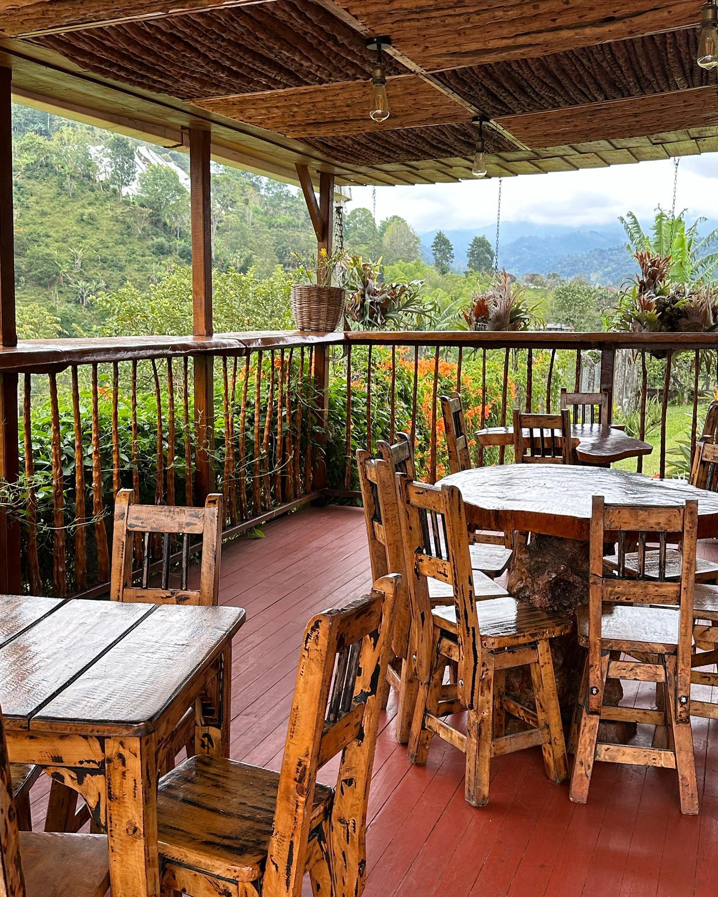 Selvaggia Lucarelli Visitare una piantagione di caffè in Colombia è un’esperienza istruttiva e diver...