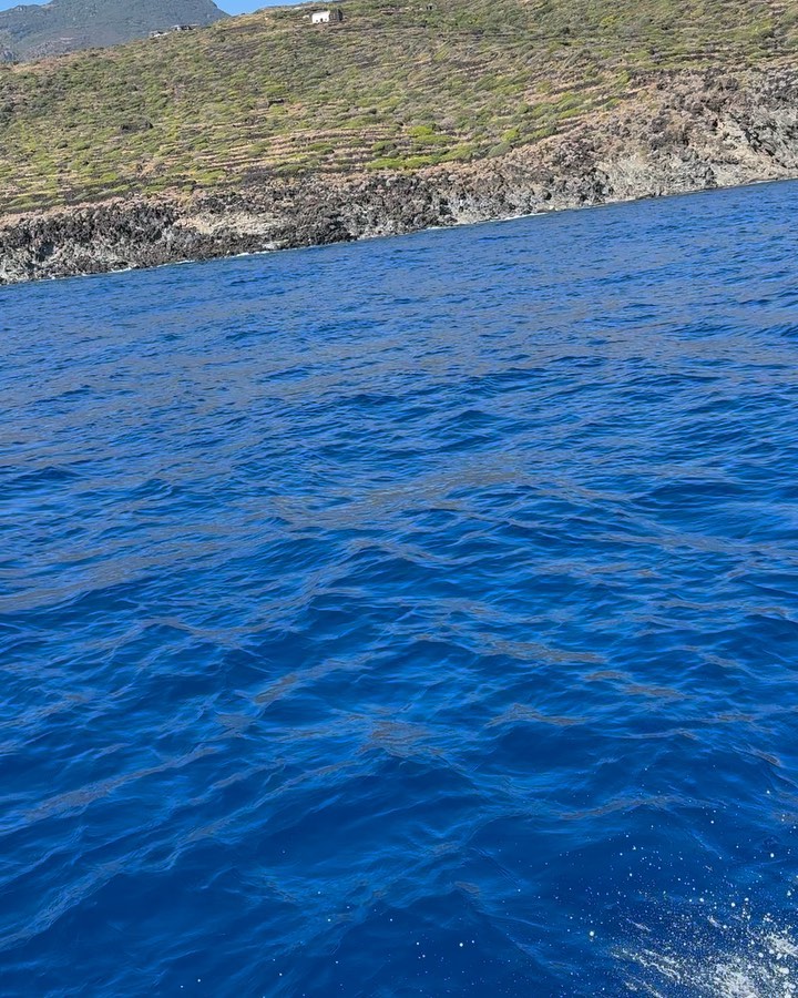 Fabrizio Corona RICCIO DI MARE DI SICILIA....