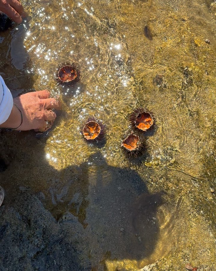 Fabrizio Corona RICCIO DI MARE DI SICILIA....