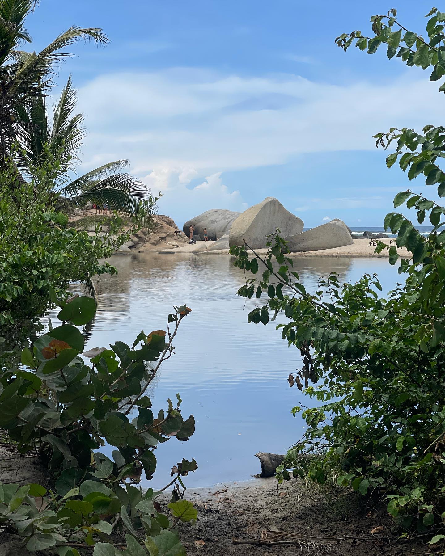 Selvaggia Lucarelli Il parco Tayrona è oceano che ti porta via, scimmie urlatrici, migliaia di passi...