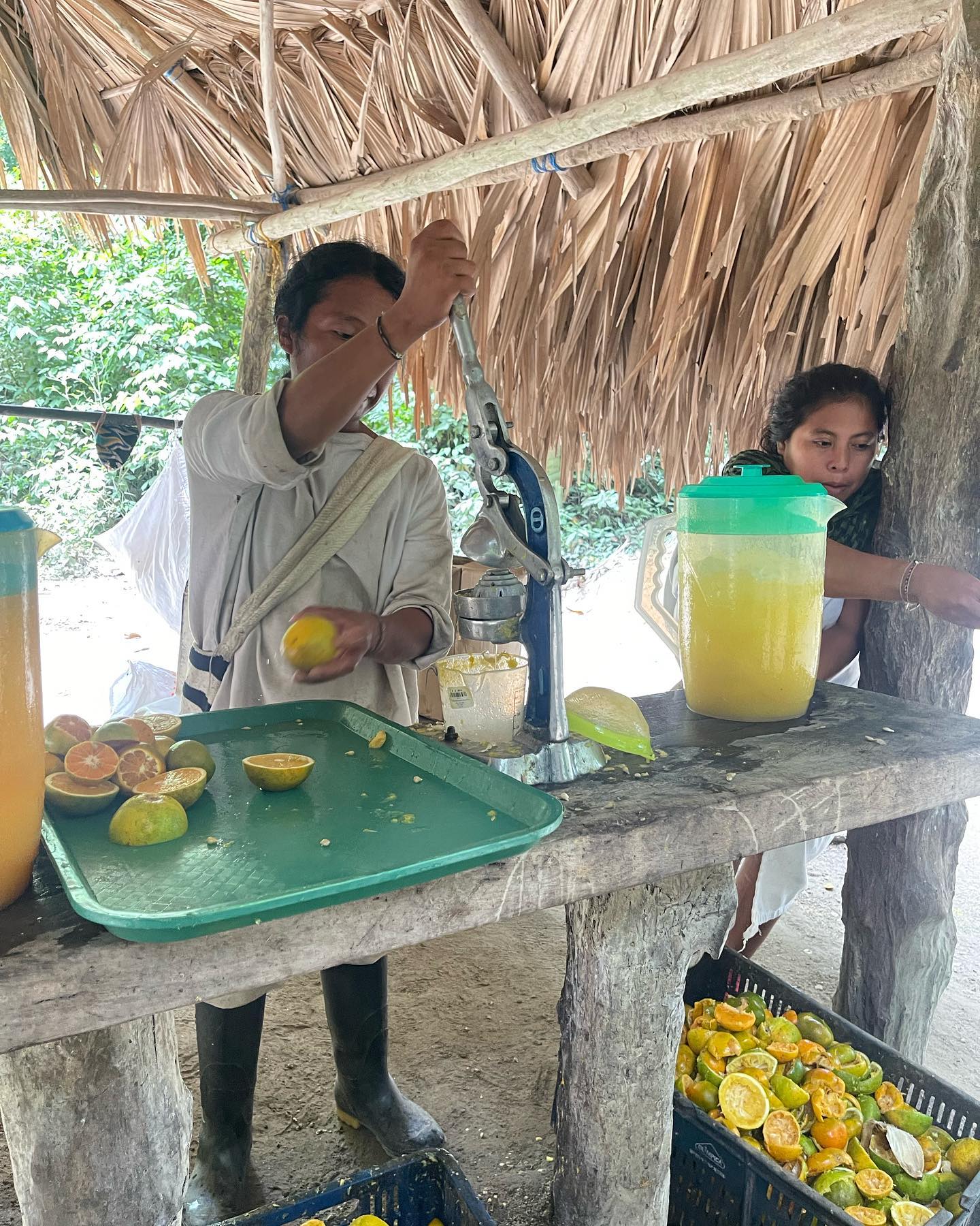 Selvaggia Lucarelli Il parco Tayrona è oceano che ti porta via, scimmie urlatrici, migliaia di passi...