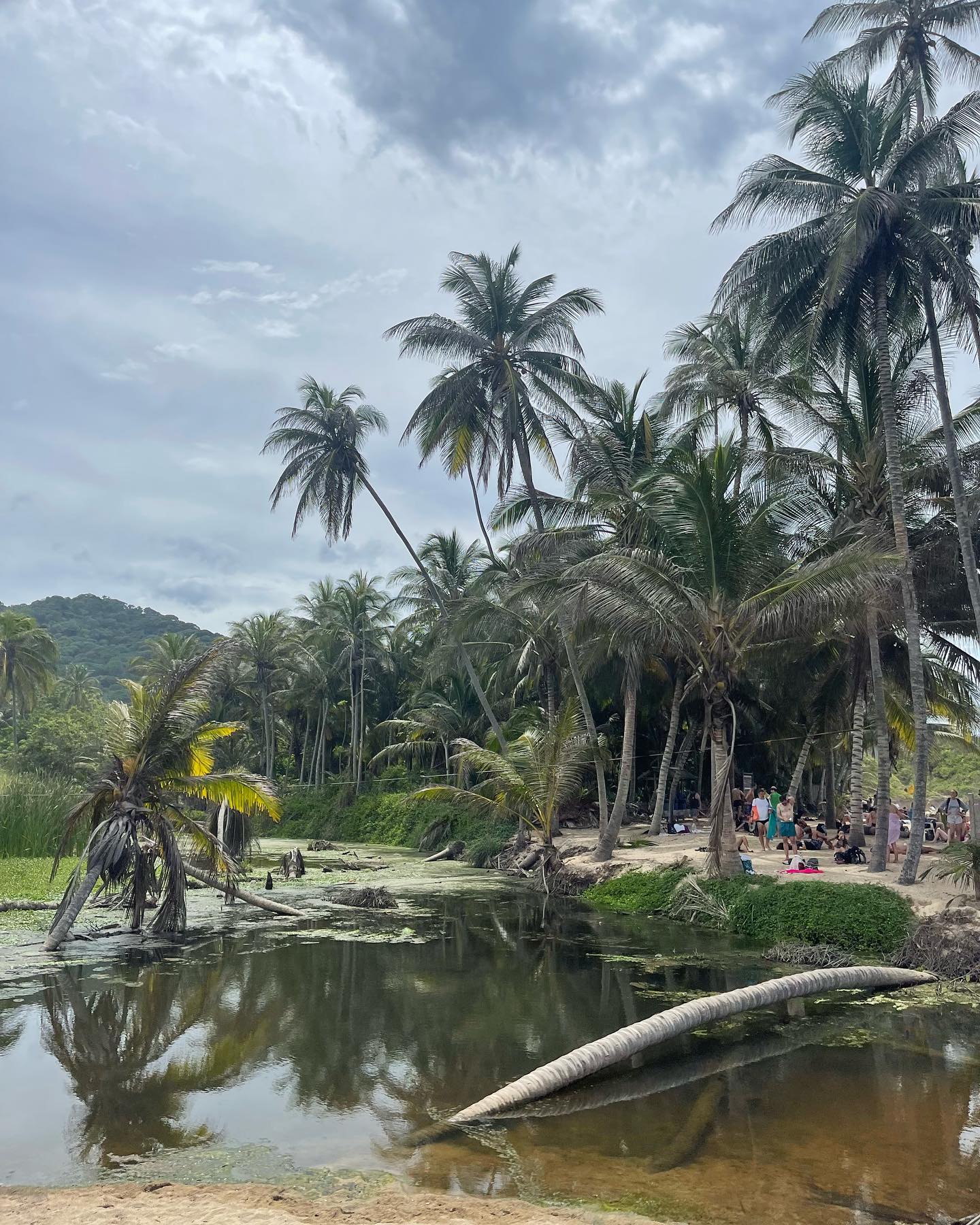 Selvaggia Lucarelli Il parco Tayrona è oceano che ti porta via, scimmie urlatrici, migliaia di passi...