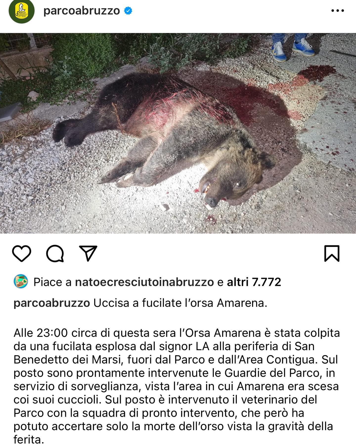 Selvaggia Lucarelli Non ce lo meritiamo un mondo con gli animali....