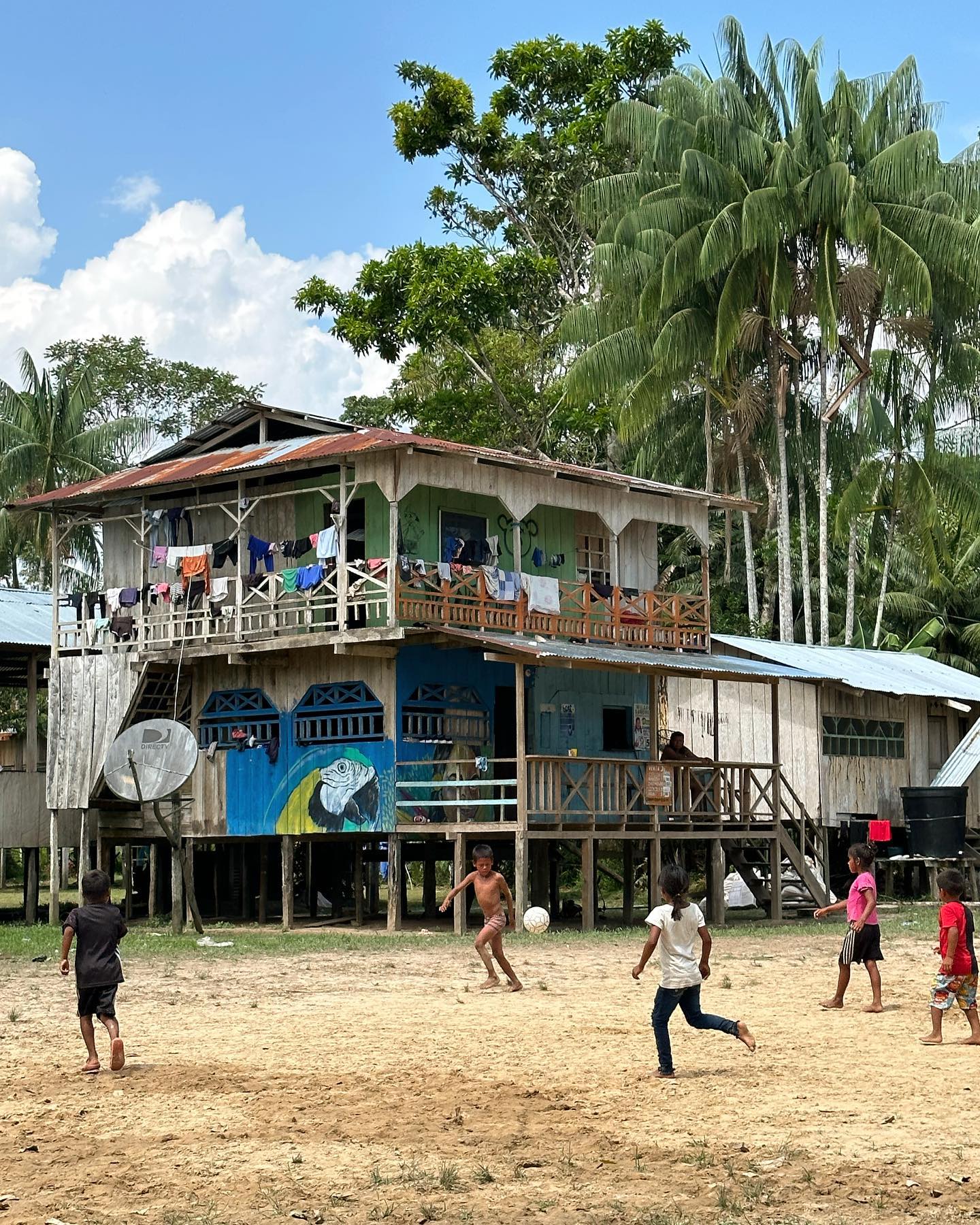 Selvaggia Lucarelli In Amazzonia ho pregato tanto che ogni tentativo di addomesticare il mondo, alme...