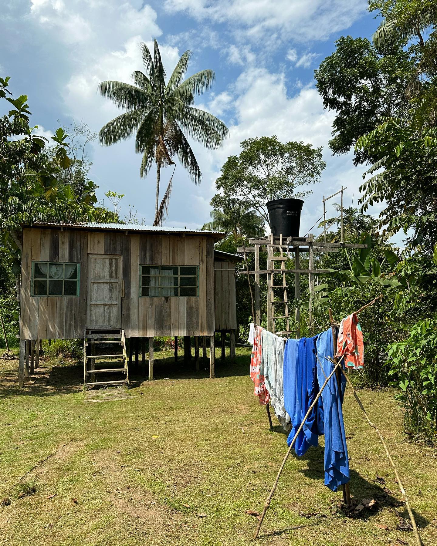 Selvaggia Lucarelli In Amazzonia ho pregato tanto che ogni tentativo di addomesticare il mondo, alme...