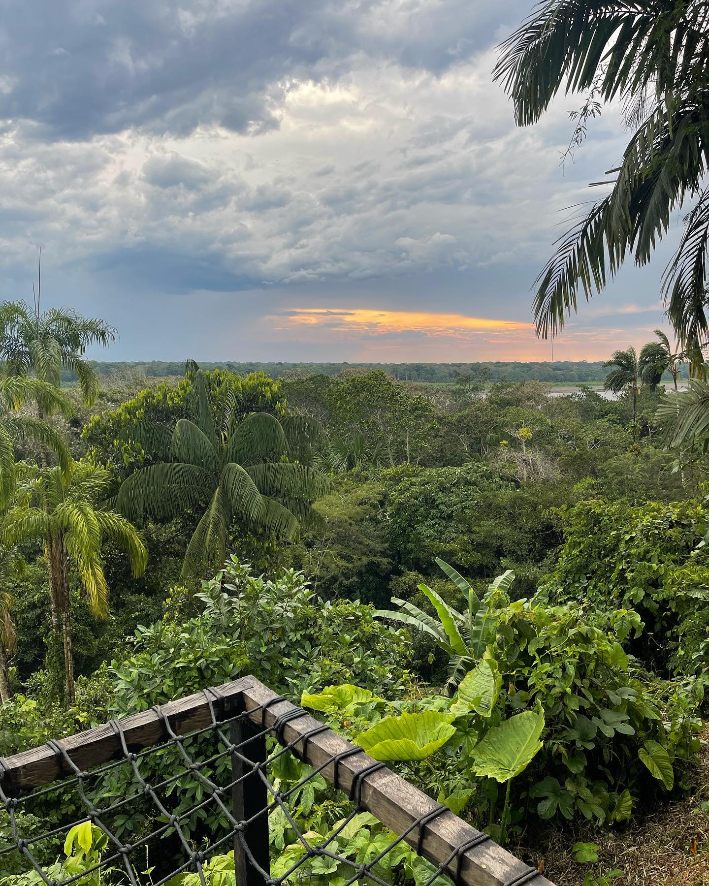 Selvaggia Lucarelli In Amazzonia ho pregato tanto che ogni tentativo di addomesticare il mondo, alme...