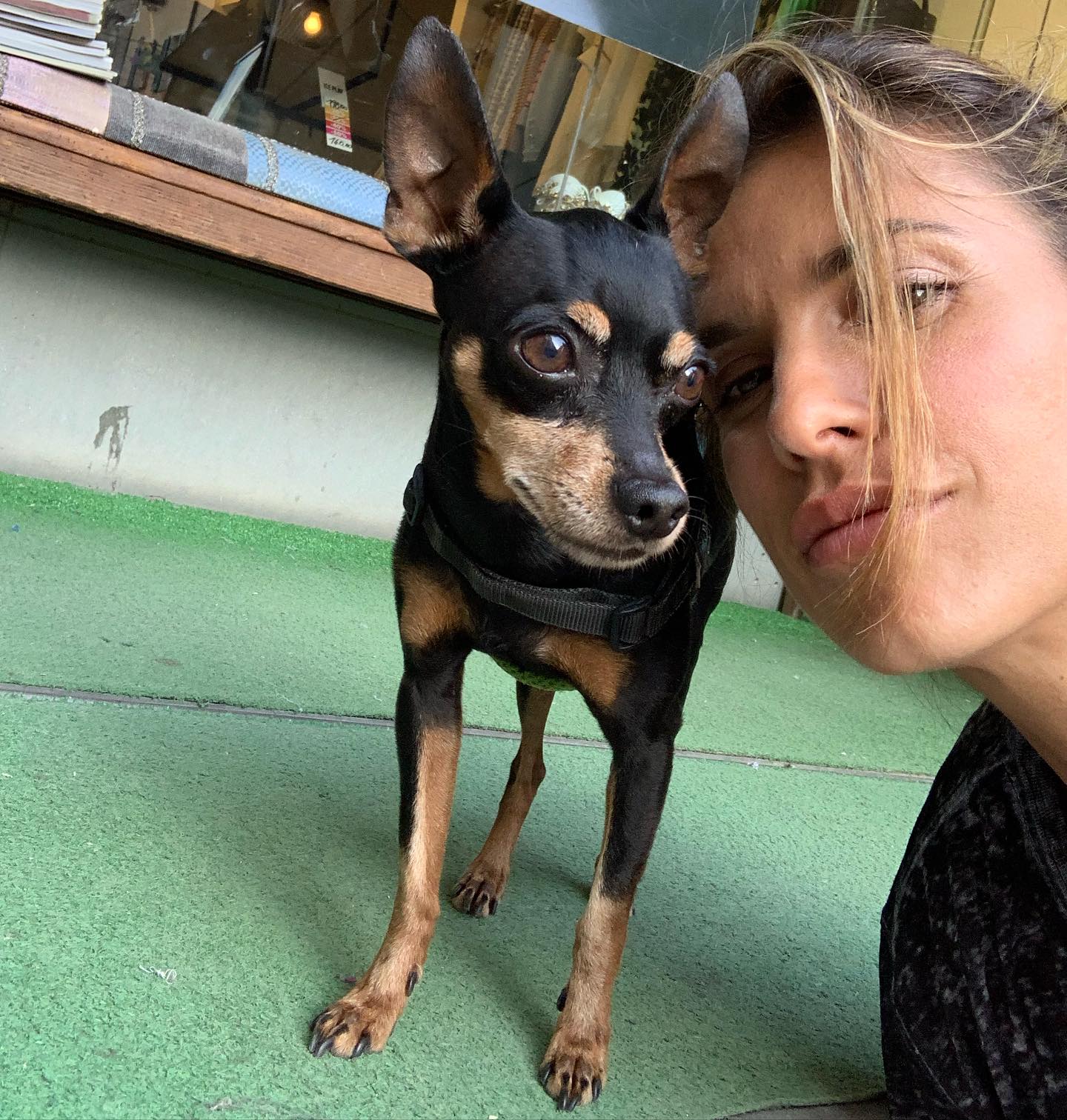 Elisabetta Canalis Ciao Mia , piccola grande guerriera. Grazie per averci dato tutto il tuo amore...