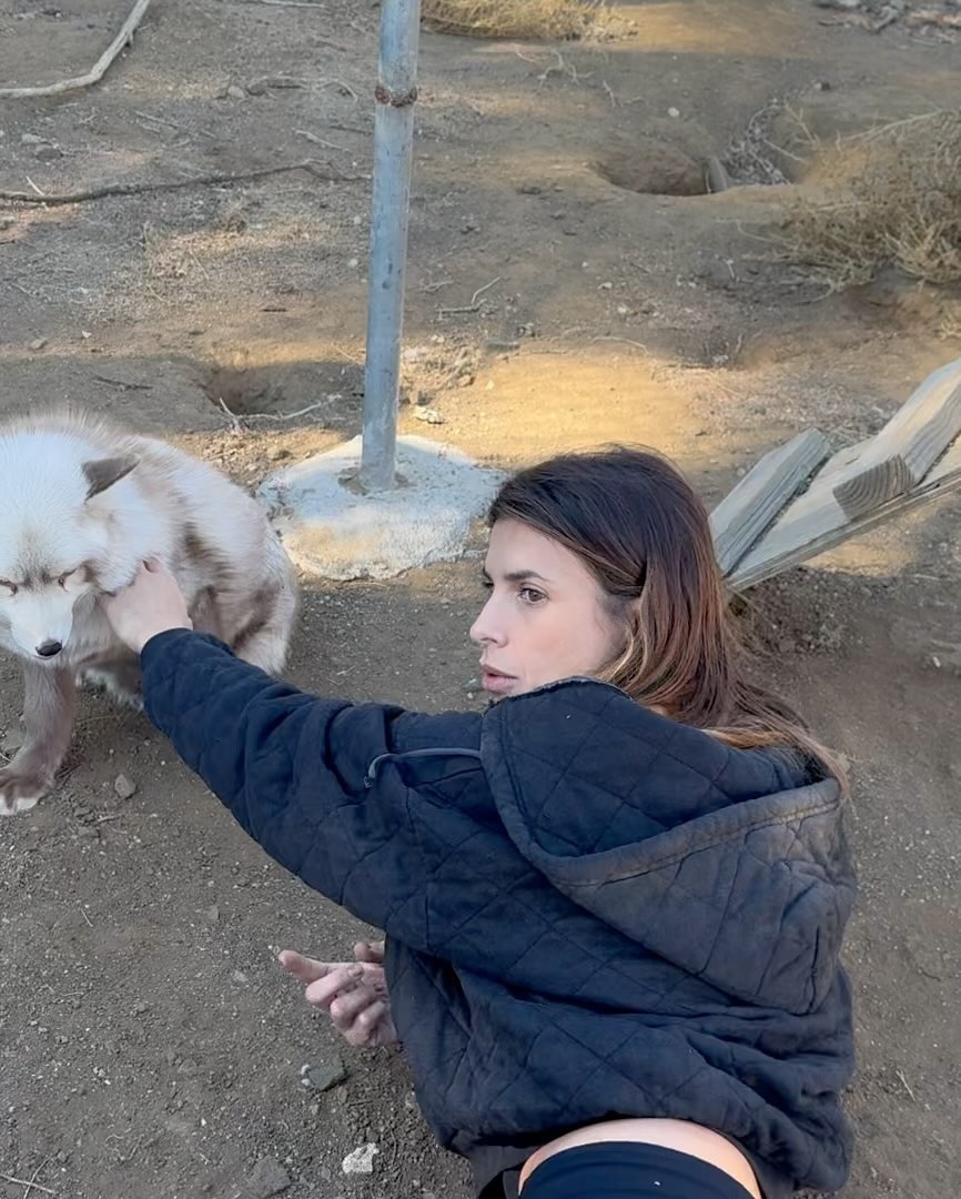 Elisabetta Canalis This is the fourth or fifth time I came here , at about 2 hours from Los Angeles...