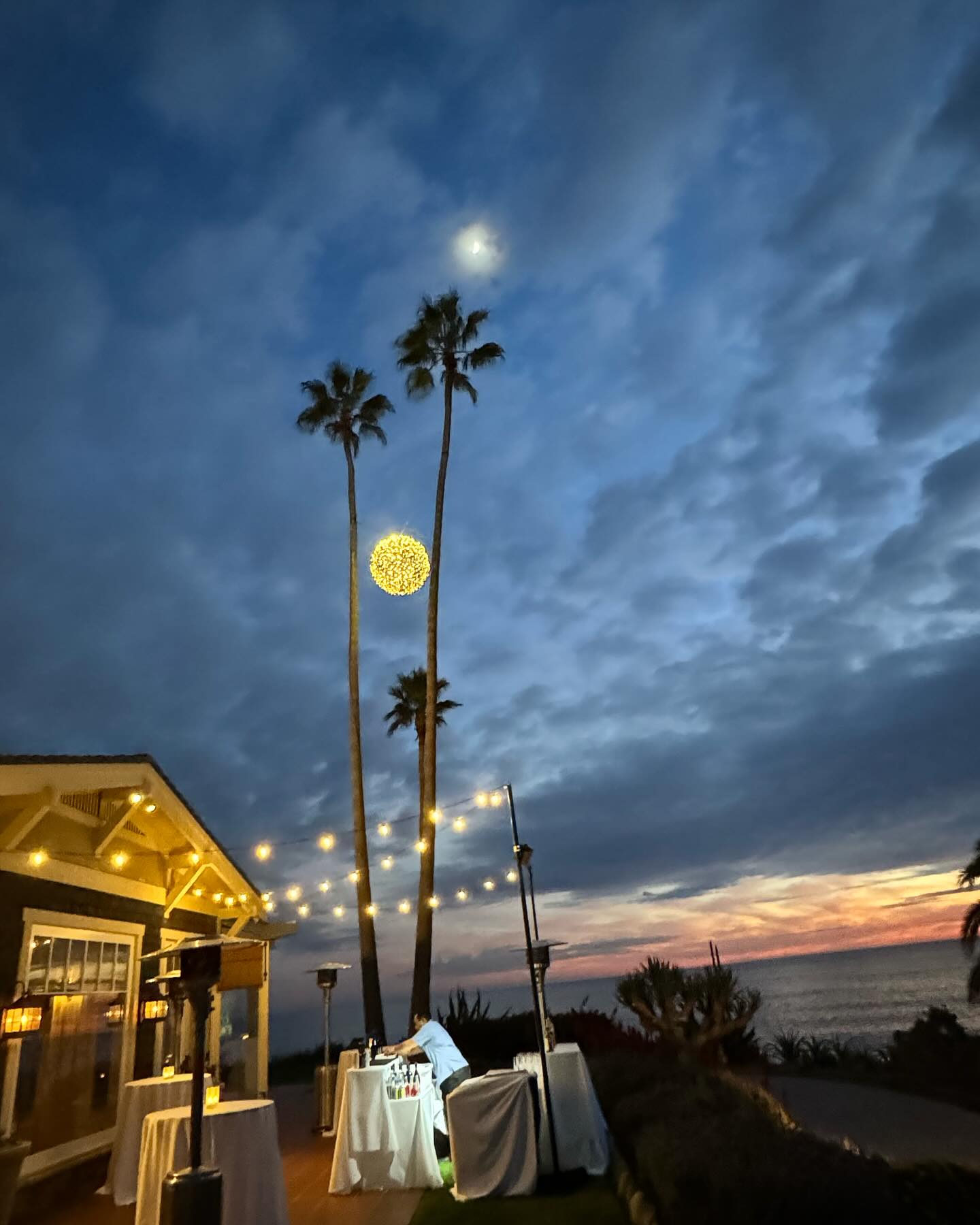 Elisabetta Canalis Ocean , sun, art galleries,Christmas trees and many beautiful lights everywhere ...