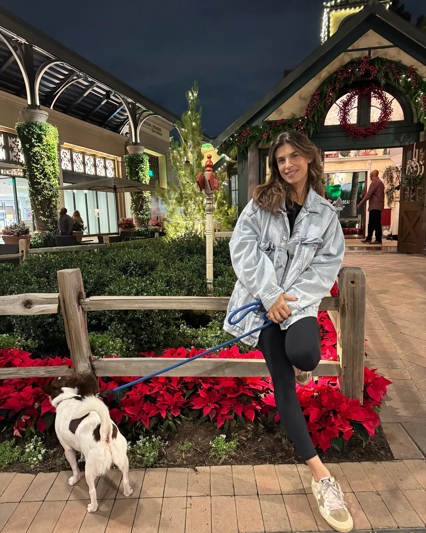 Elisabetta Canalis Ocean , sun, art galleries,Christmas trees and many beautiful lights everywhere ...