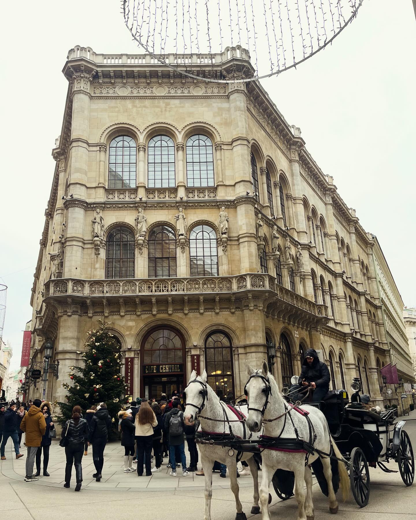 Selvaggia Lucarelli Come prima foto ho scelto quella con i colori perché il colore a Vienna è soprat...