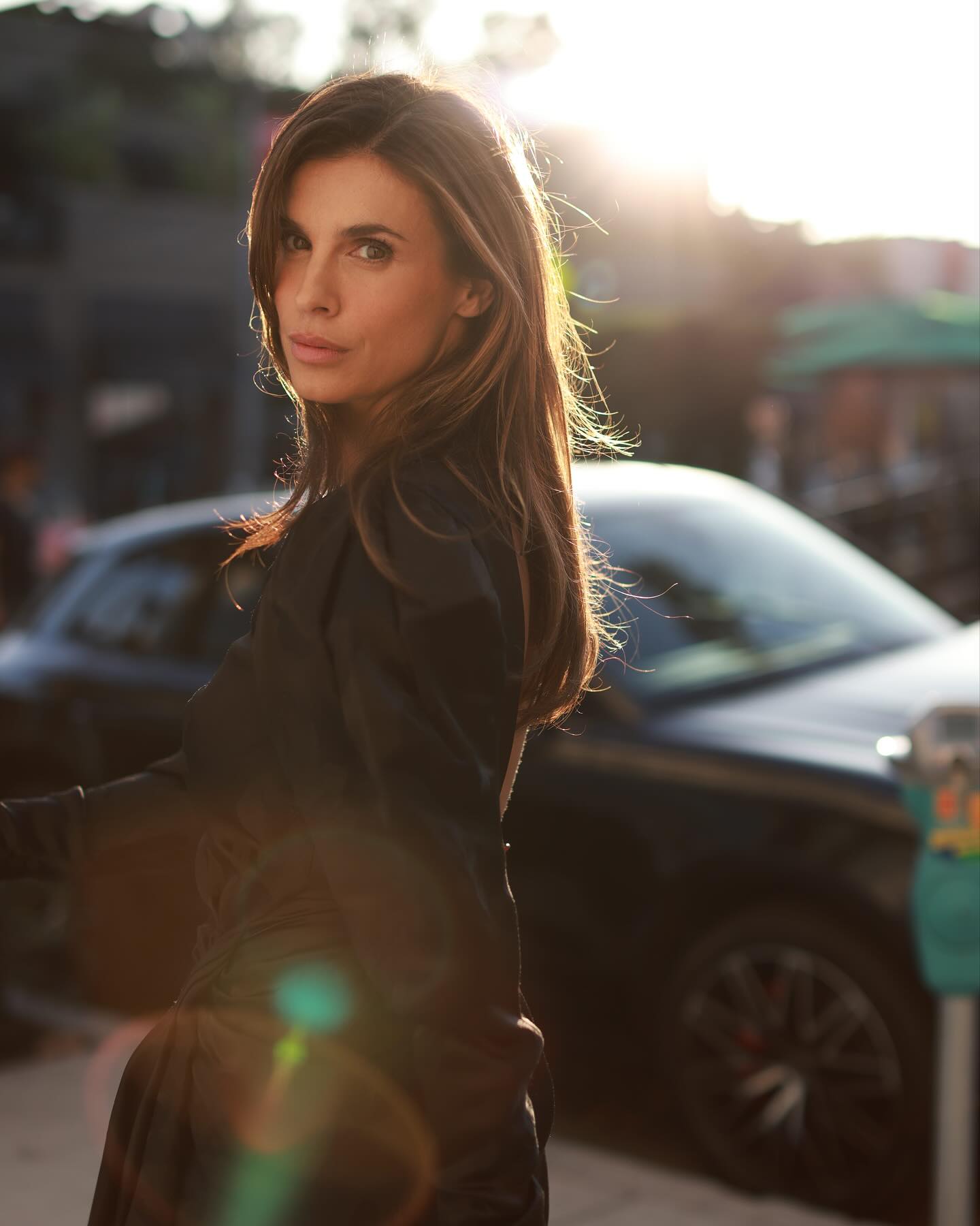 Elisabetta Canalis ...