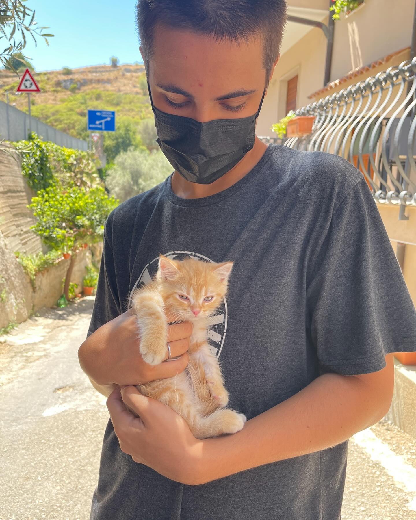 Selvaggia Lucarelli La prima foto con un piccolissimo Gattomerdina a Melilli (gli stavamo già sul ca...