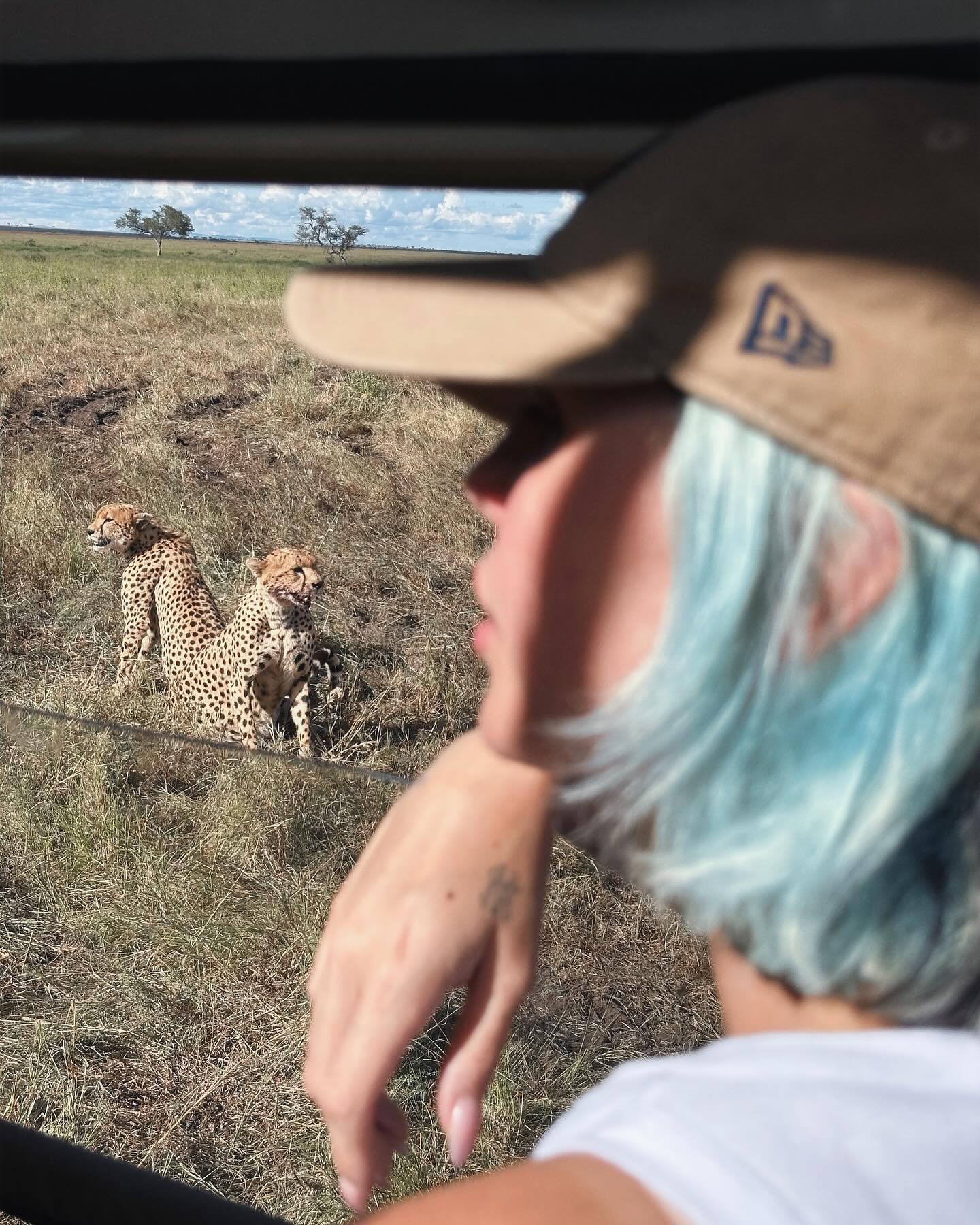 Rose Villan L’Africa non si dimentica 

grazie  per averci organizzato il viaggio dei sogni ...