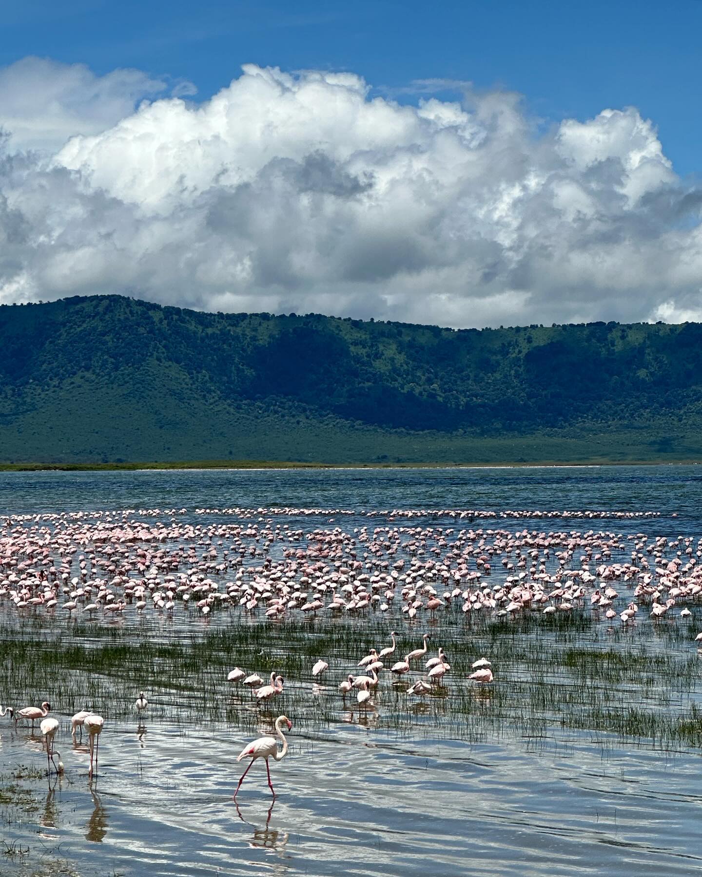 Rose Villan L’Africa non si dimentica 

grazie  per averci organizzato il viaggio dei sogni ...