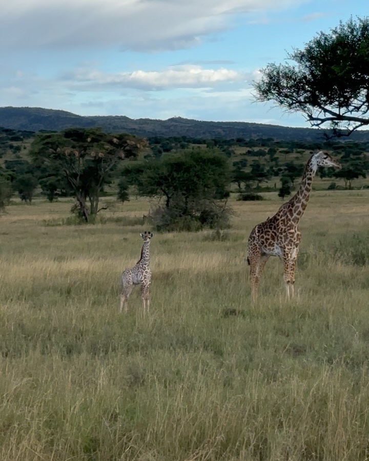 Rose Villan L’Africa non si dimentica 

grazie  per averci organizzato il viaggio dei sogni ...